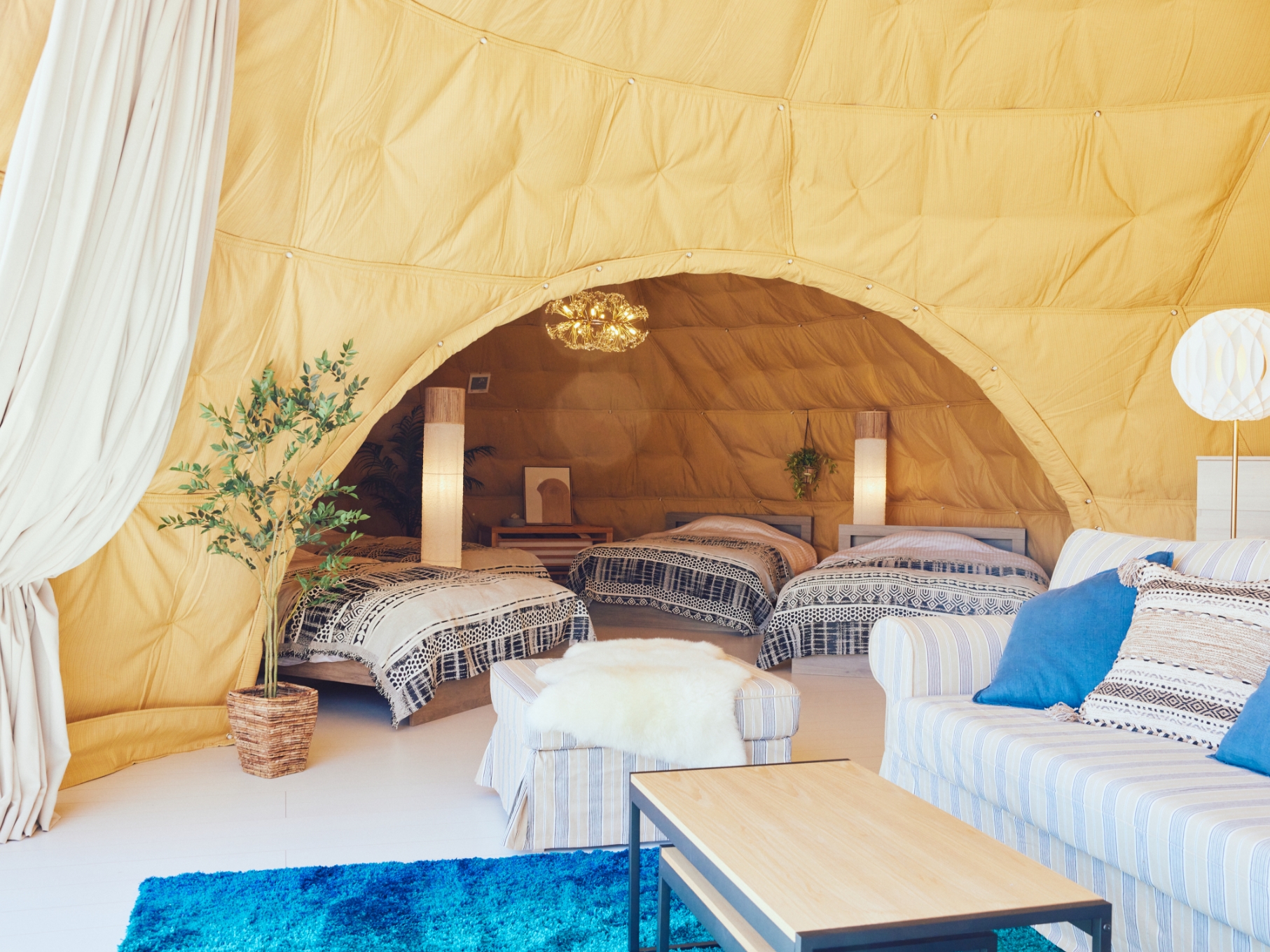 ツインドーム E棟