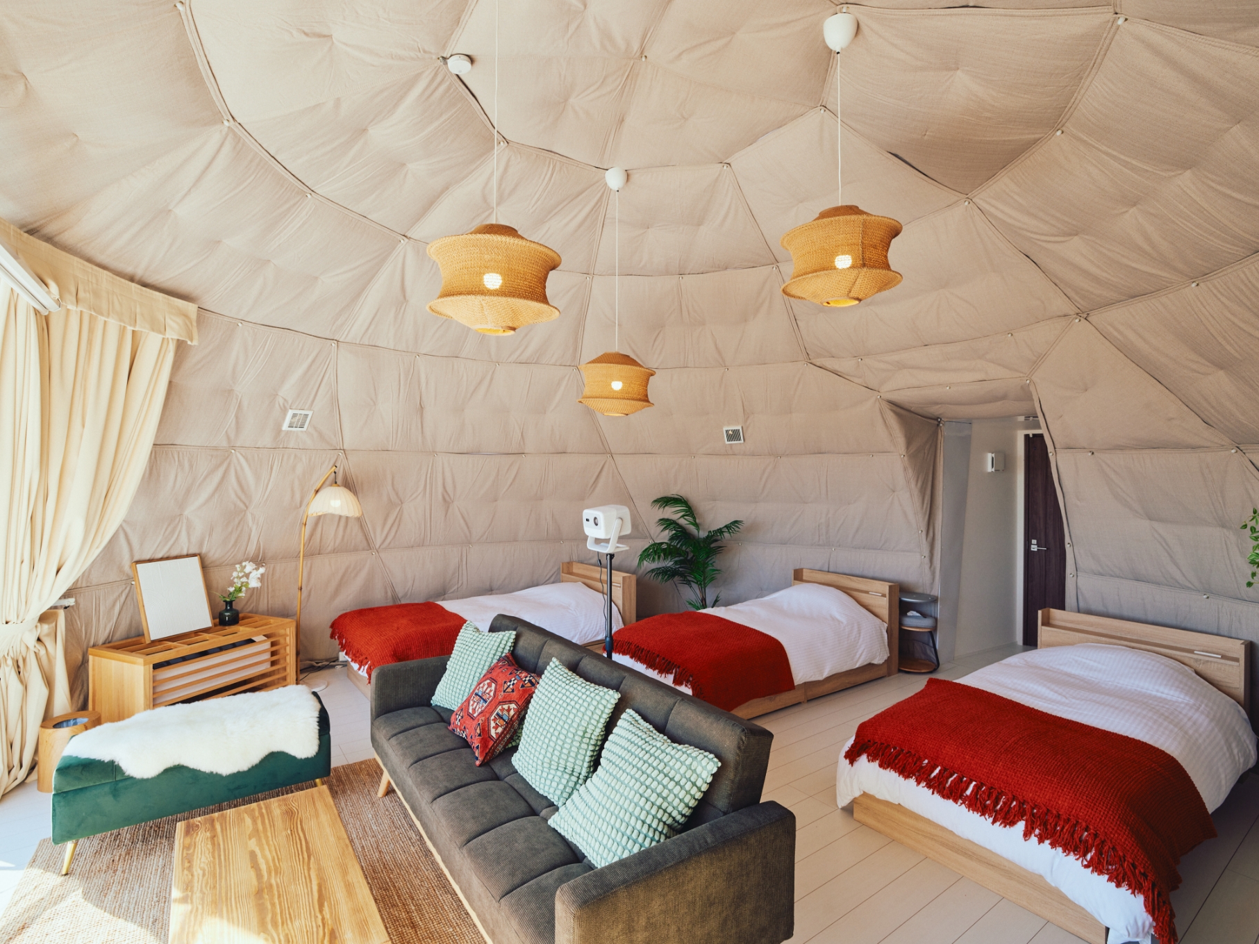 シングルドーム F棟