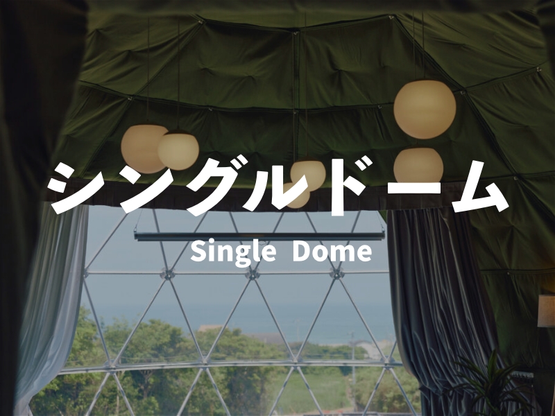 「シングルドーム」