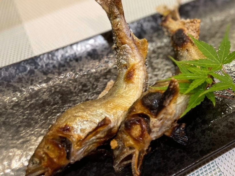 【与一最高峰】山川の恵みを味わう与一最高峰フルコースプラン｜上質なひとときを1日1組貸切で（2食付）