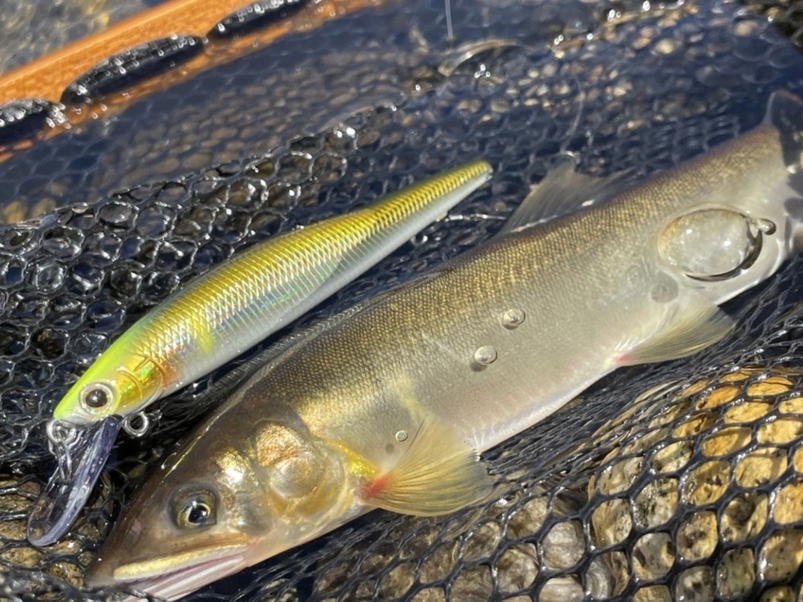 【手ぶらで鮎釣り】釣った鮎が今夜のごちそう！初心者歓迎・木津川アユイング体験宿泊プラン