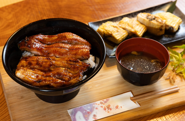 黄金の天然京うなぎを狙え  鰻の夜釣り体験付き宿泊プラン