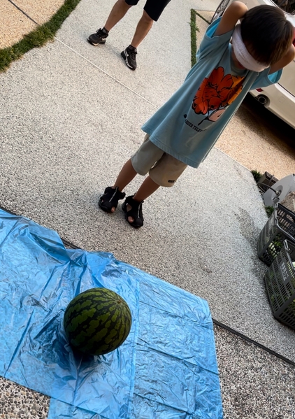 田舎の夏休み　流しそうめんにクワガタ採取にスイカ割りに線香花火付きご宿泊