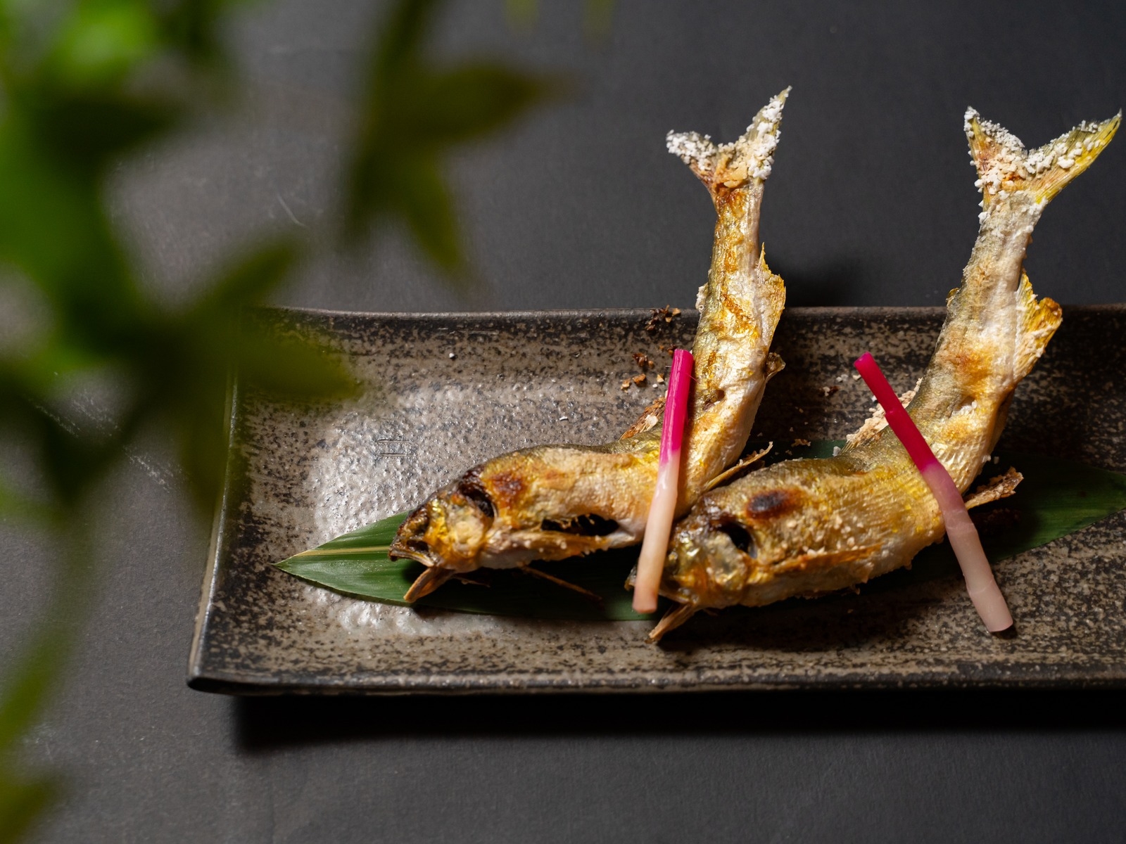 【1日1組限定・1泊2食】鹿・猪・季節の川魚を味わう｜与一スタンダード会席