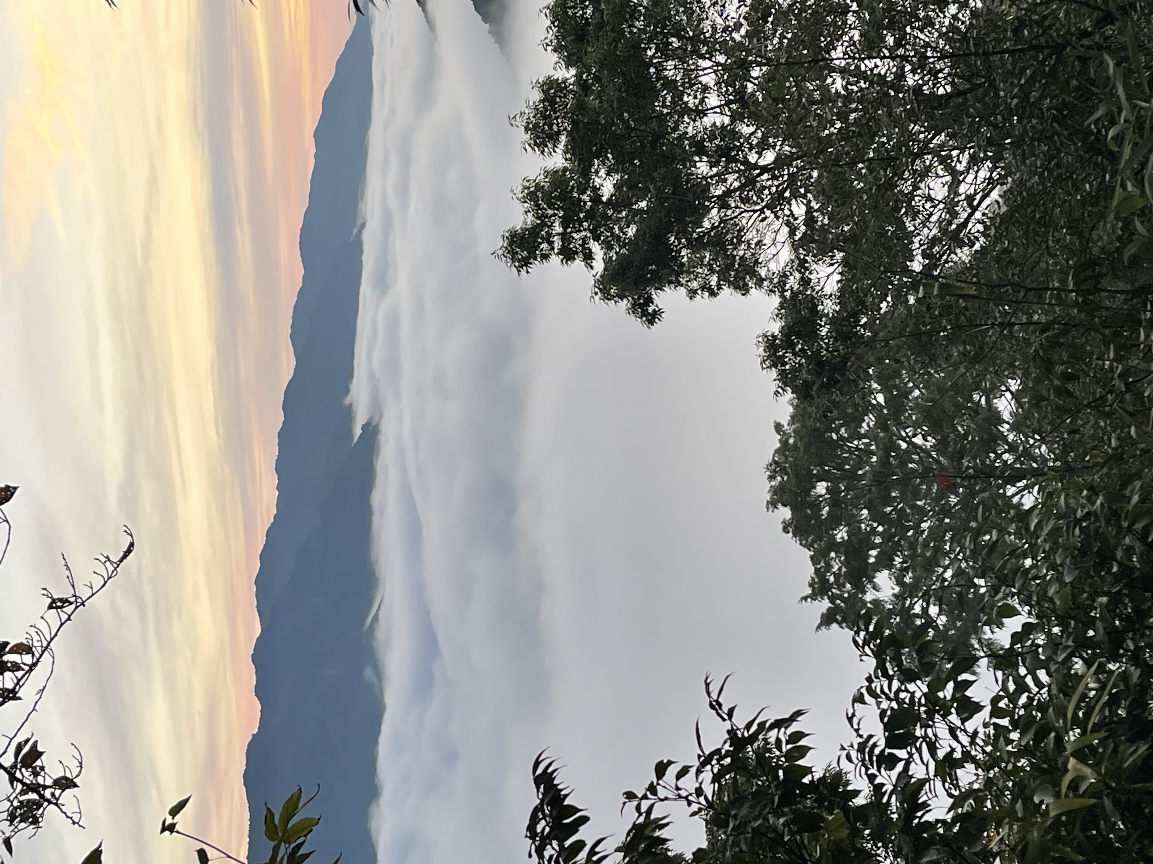 笠置山から見える雲海