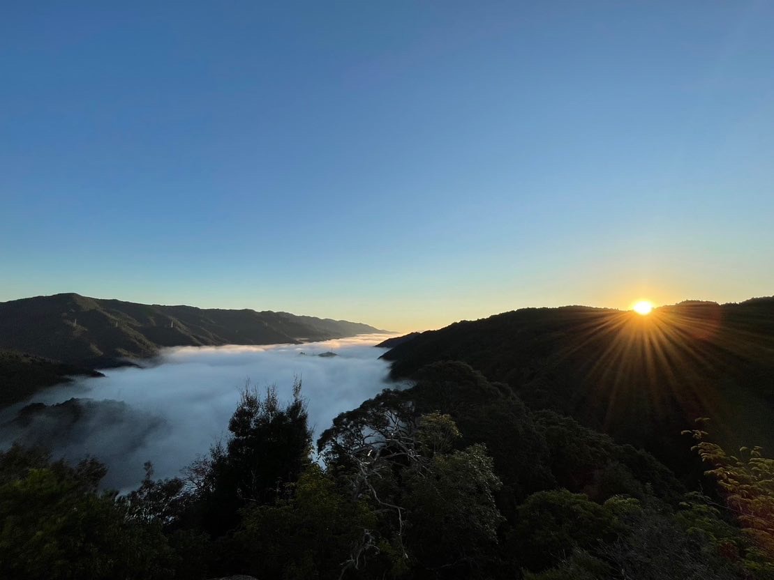笠置山頂上から見える雲海