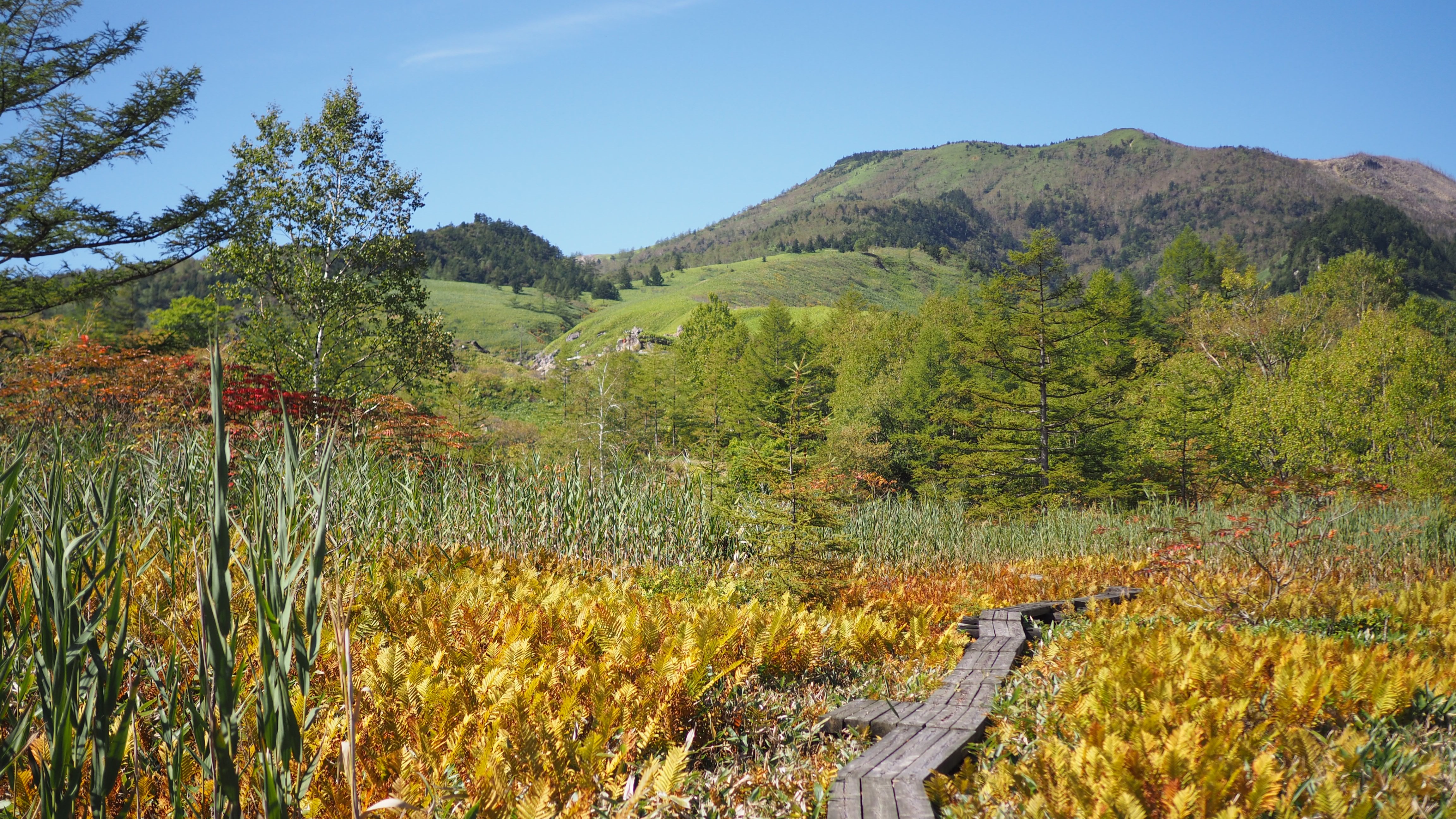 武具脱の池と白根山