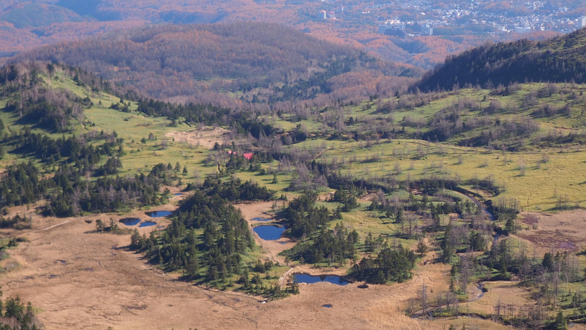 日本国道最高地点から見た芳ヶ平湿原