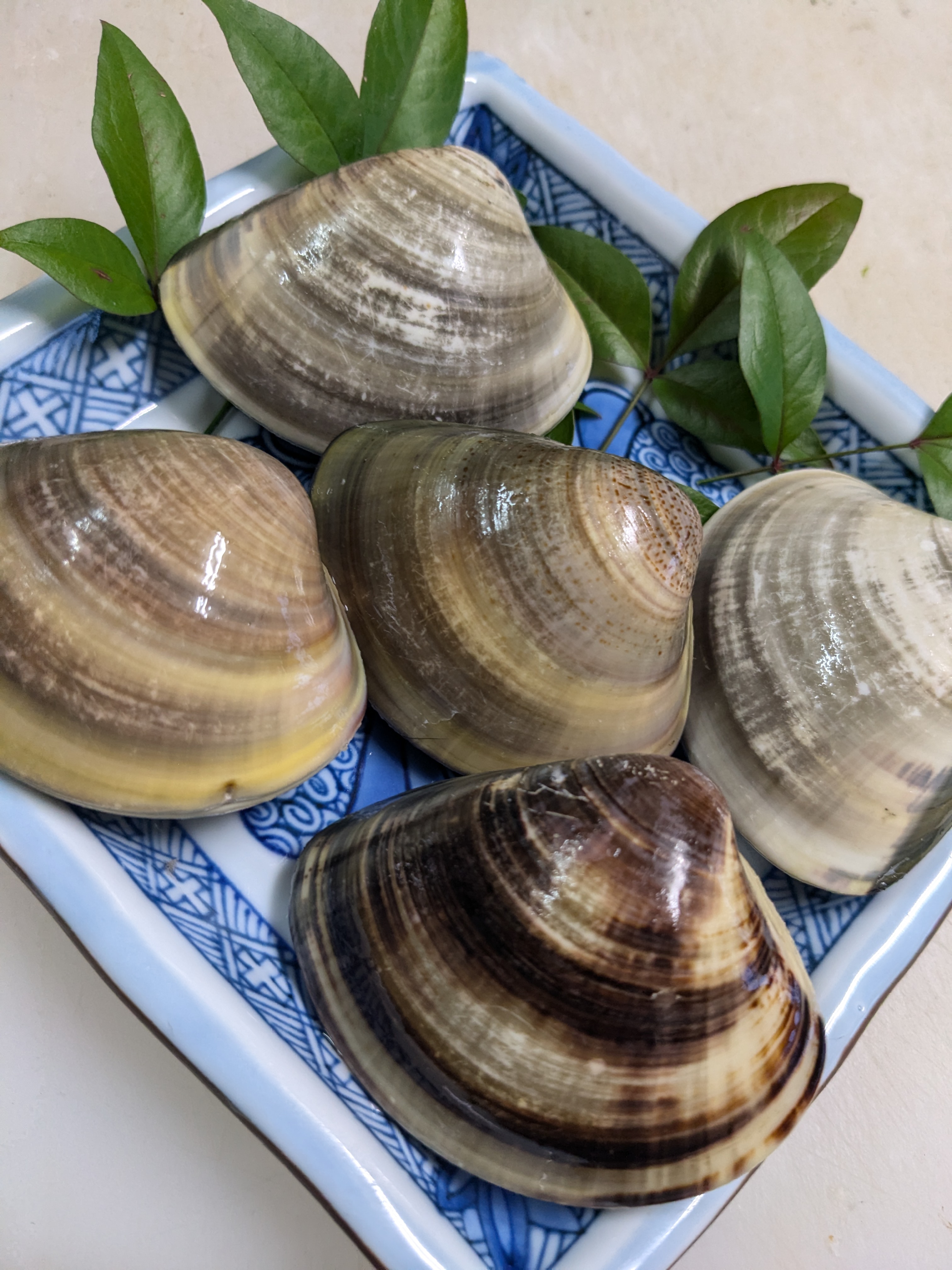 美食プラン　はまぐり