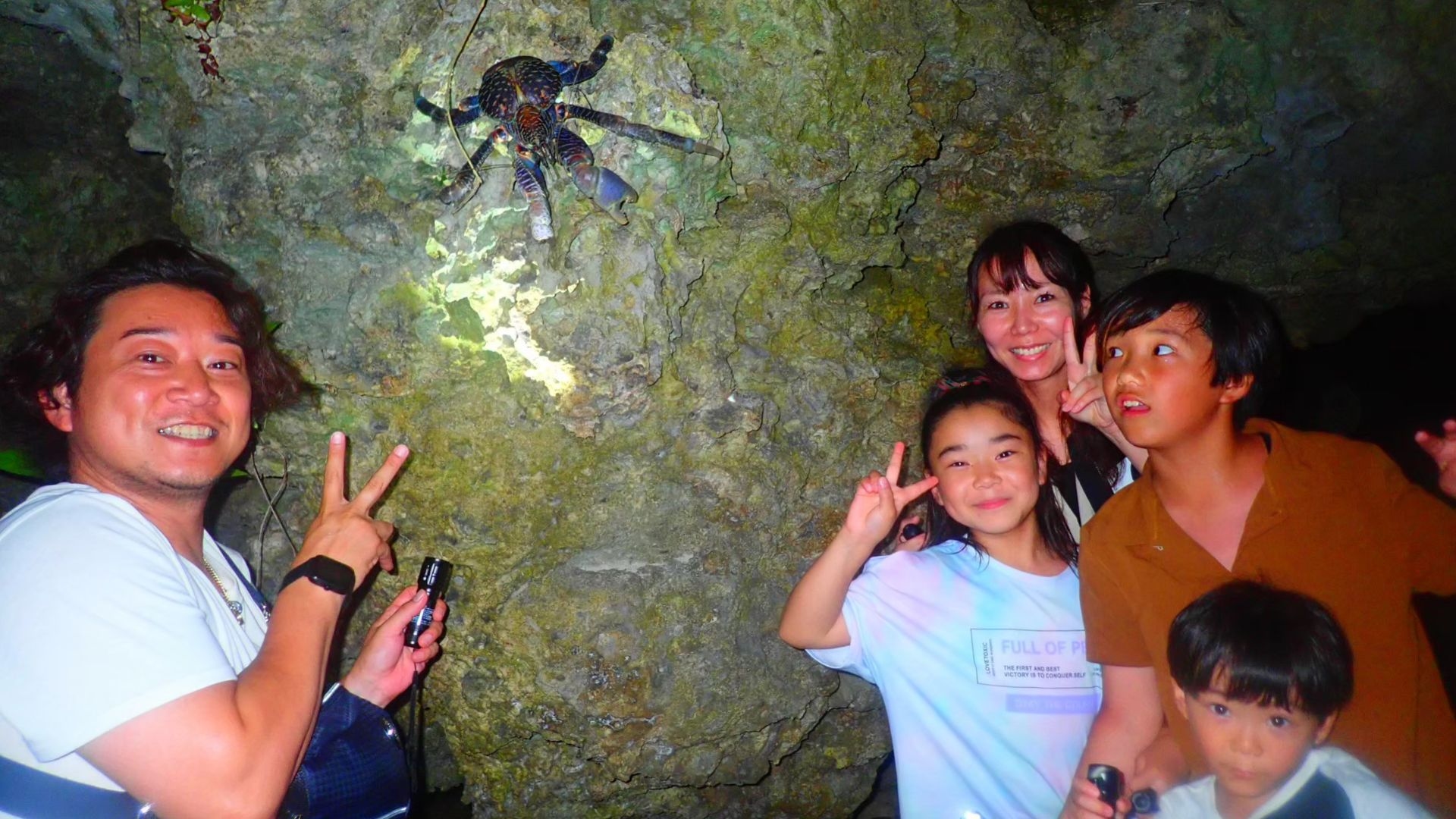 与那国島の夜を満喫！ナイトツアー付き宿泊プランで亜熱帯の生き物や星空を楽しもう！/食事なし