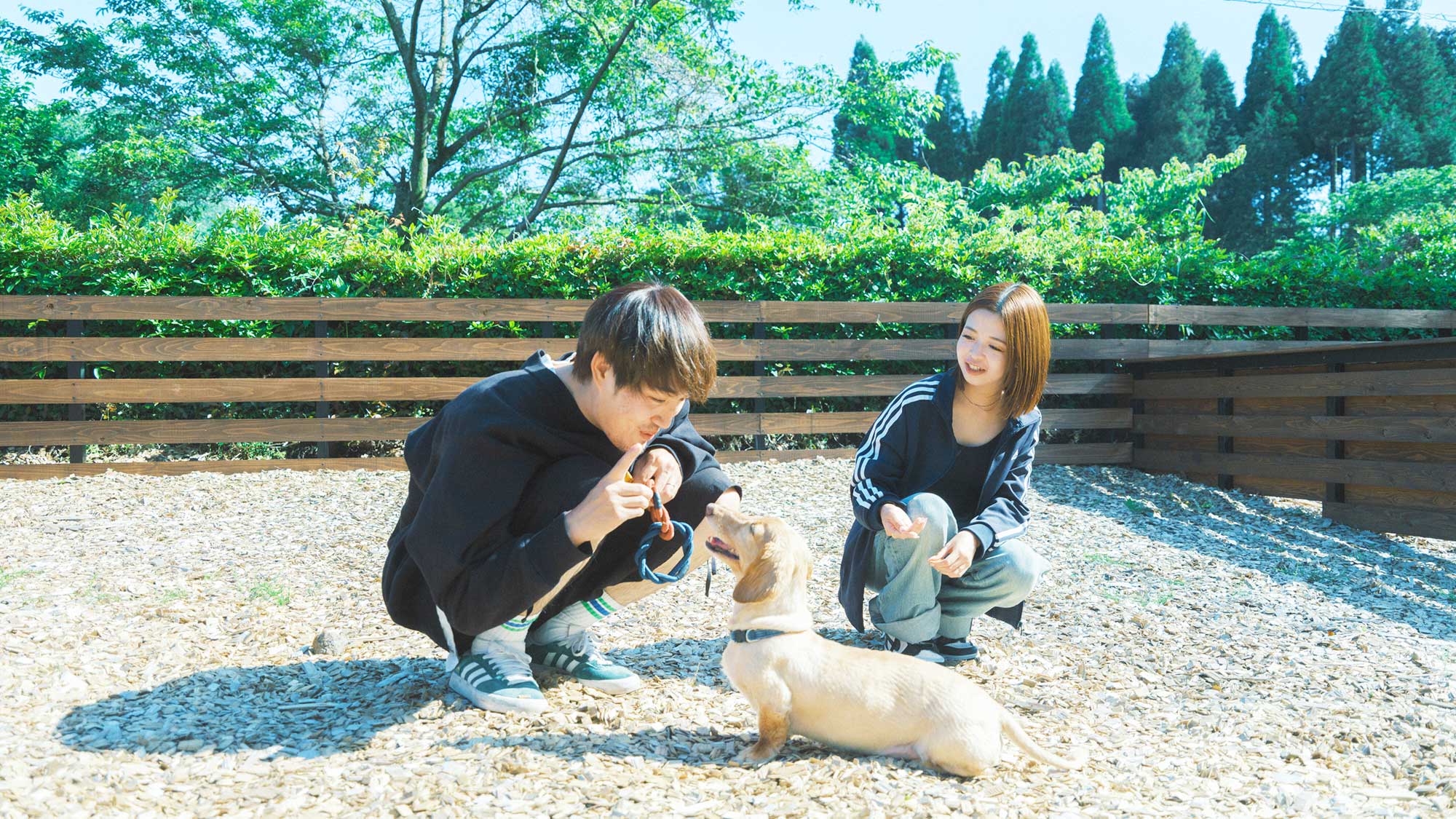 【／With Dogs・1号室（53㎡）】部屋毎に柵があるので安心して遊ばせることができます。