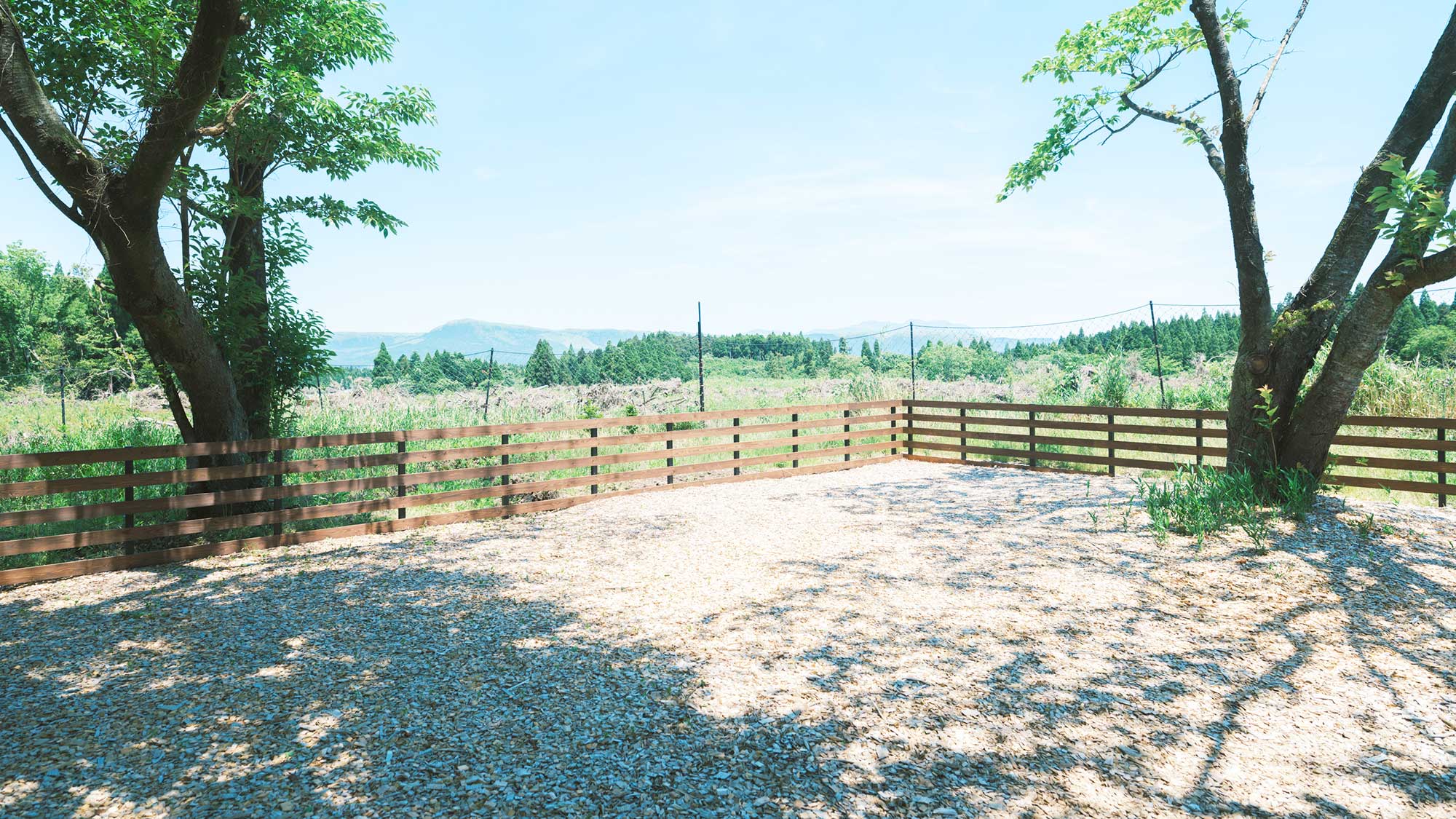 【／With Dogs・ドッグラン】各部屋のドッグランとは別に大きなドッグランエリアを設けています。