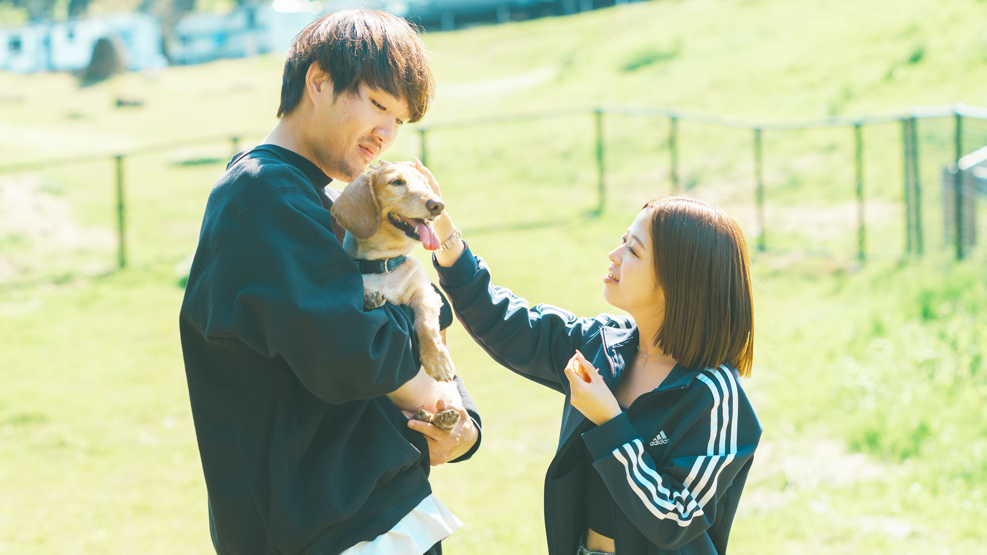 【／With Dogs・ドッグラン】散歩コースを楽しんだ後はドッグランエリアで愛犬と遊ぼう！