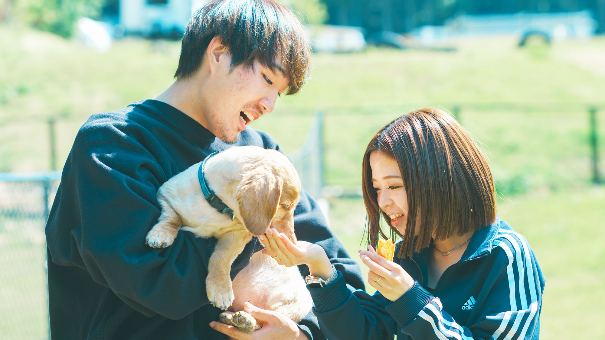 【／With Dogs・ドッグラン】散歩コースを楽しんだ後はドッグランエリアで愛犬と遊ぼう！