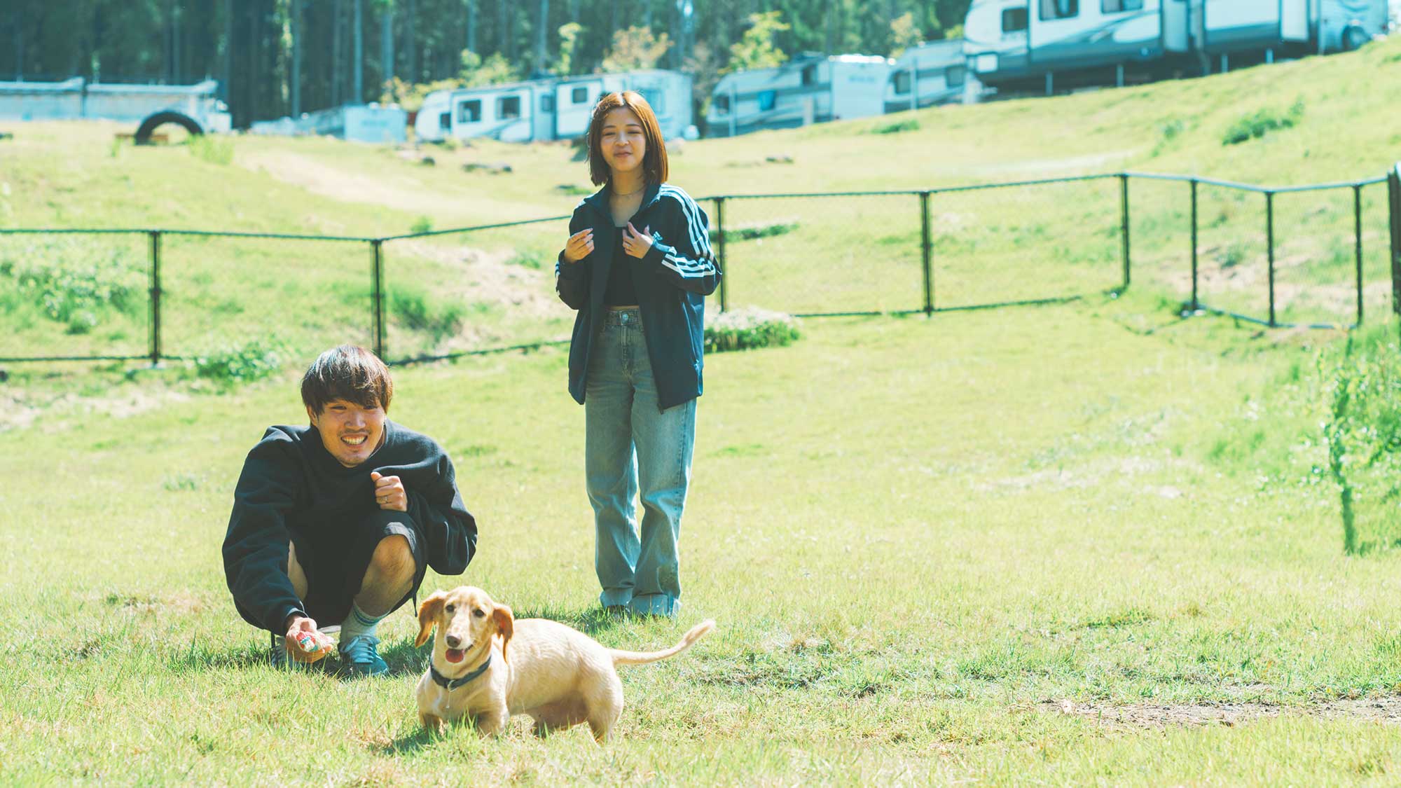 【／With Dogs・ドッグラン】散歩コースを楽しんだ後はドッグランエリアで愛犬と遊ぼう！