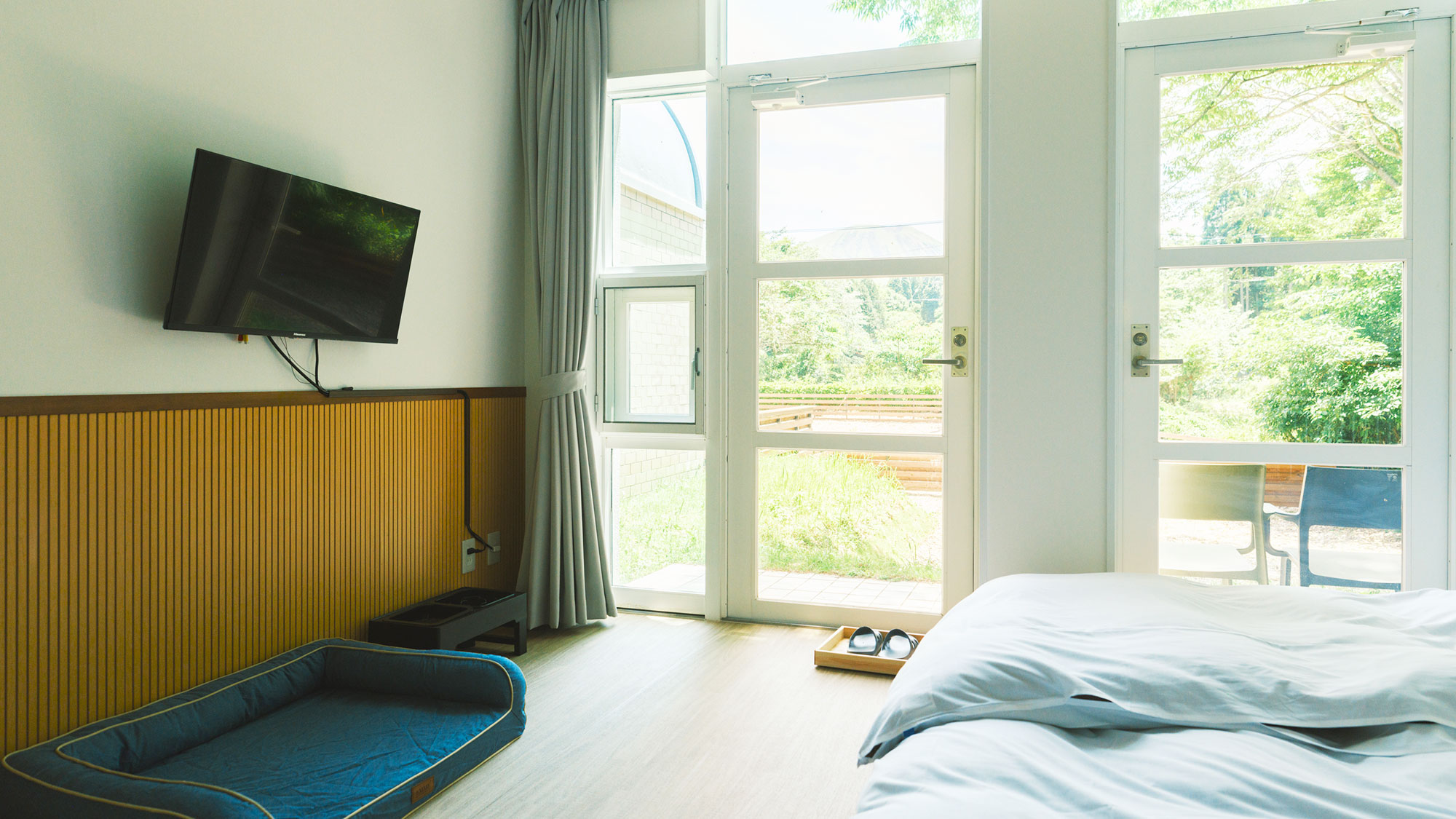 【／With Dogs・3号室（53㎡）】大きな窓から柔らかな光が差し込む明るいお部屋。