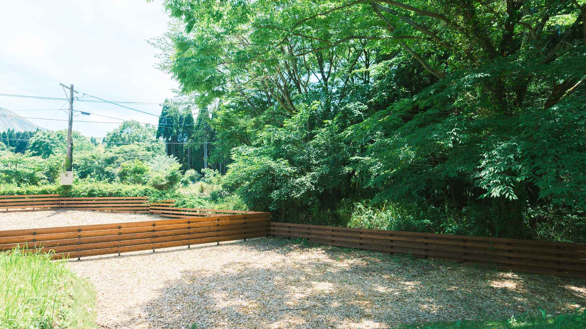 【／With Dogs・3号室（53㎡）】プライベートドッグランで伸び伸びと遊ばせることができます。