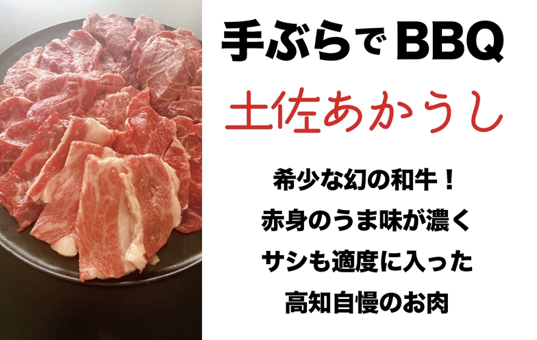 手ぶらBBQプラン★冬BBQとあったかプライベートサウナ＆プールで大満足なヴィラ♪ 