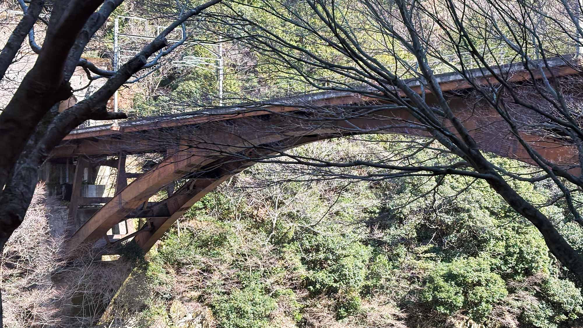 ・【周辺】見渡す緑と澄んだ空気。美しい景観が広がっています