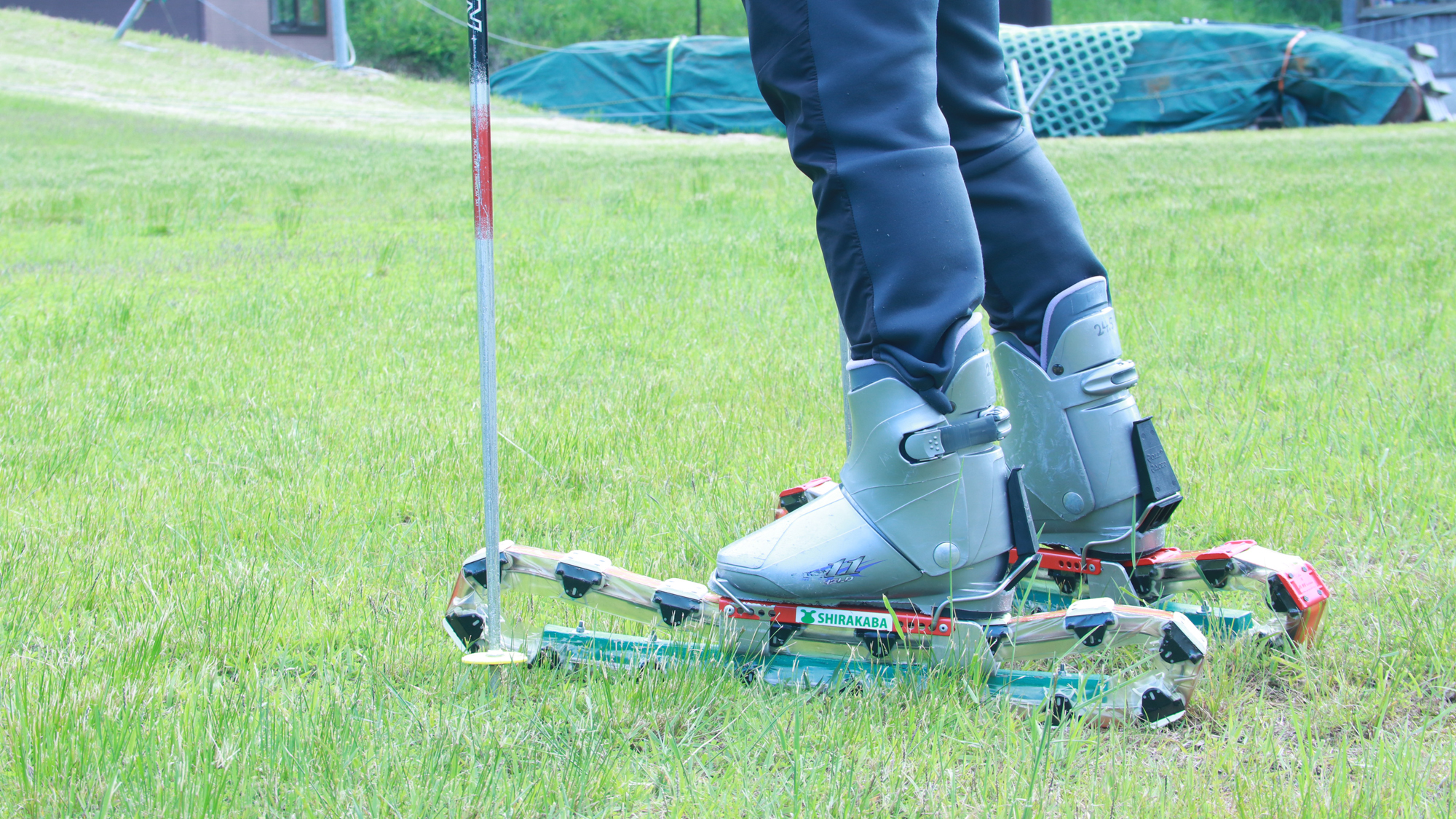 草スキーできます