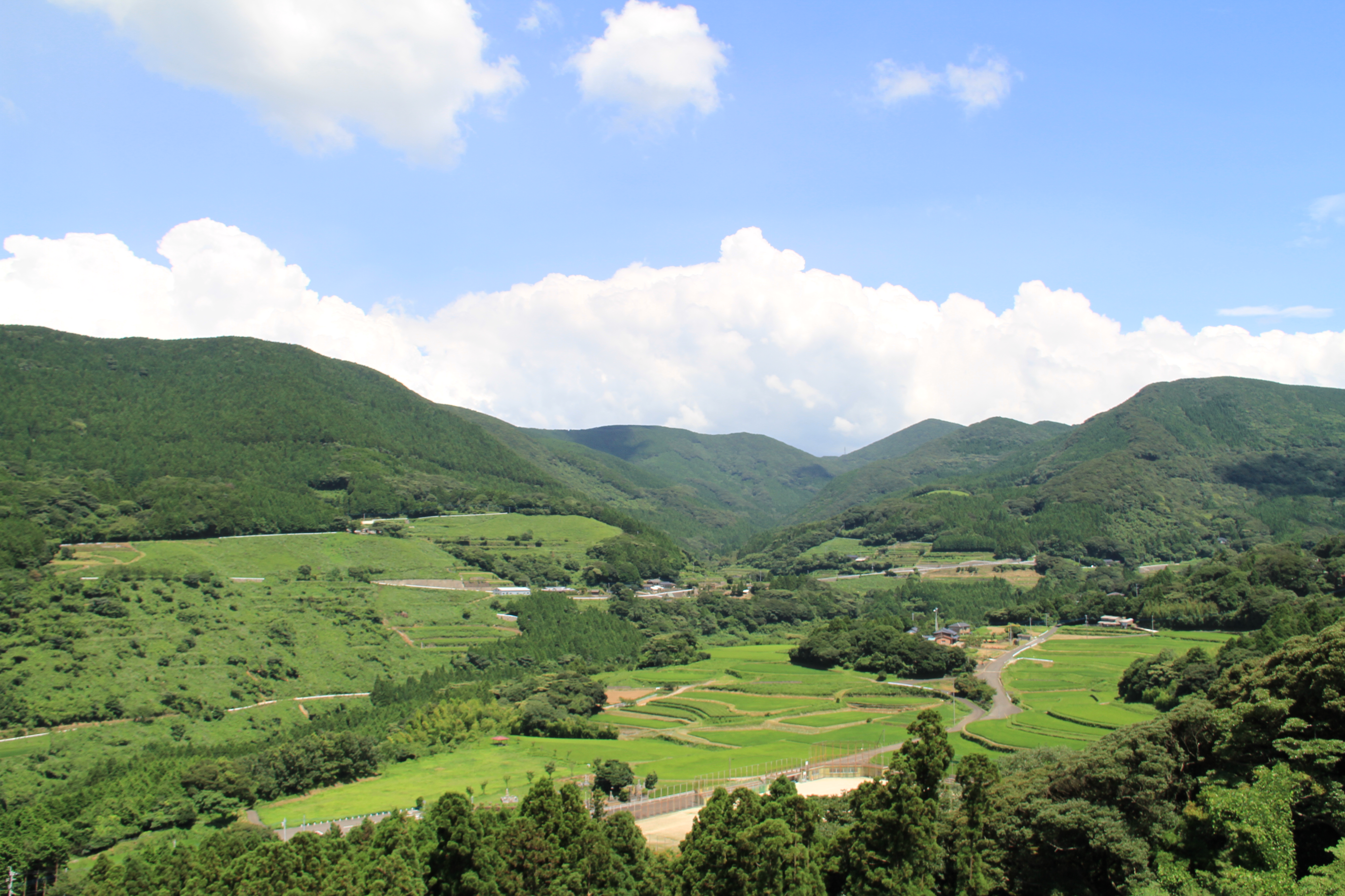 展望テラスからの風景（夏）