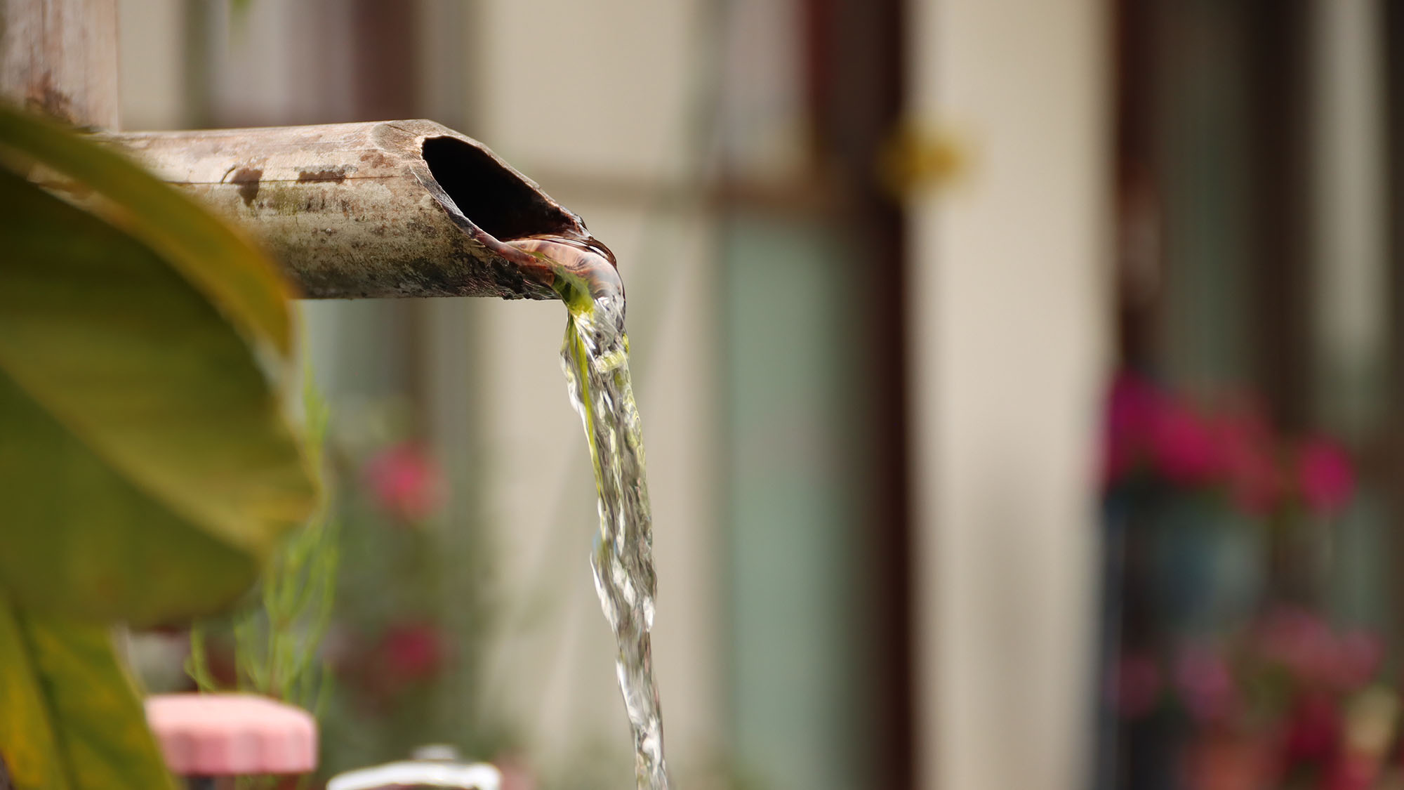 【イメージ】  涼し気なお水もお出迎え