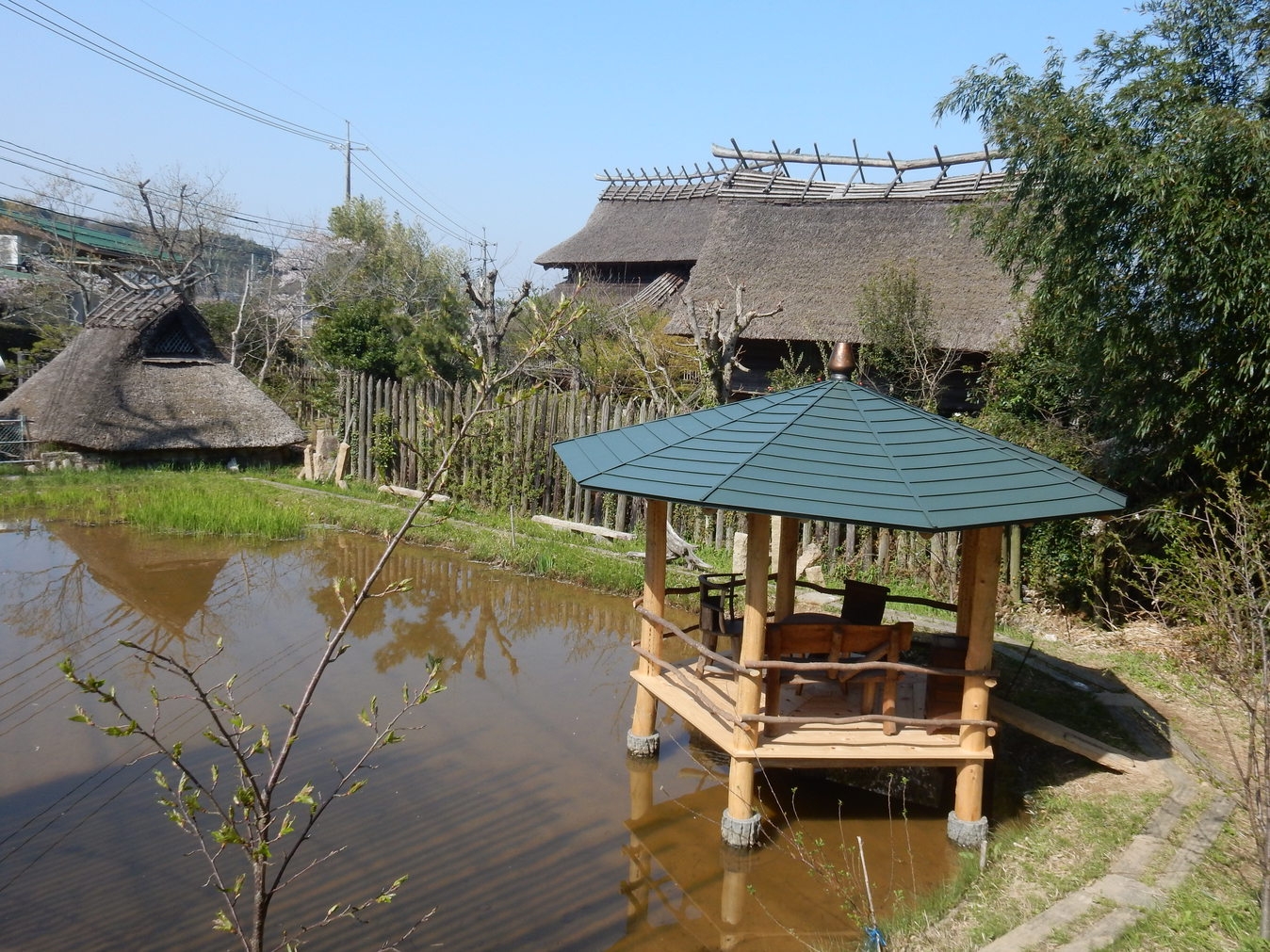 【浮水亭】自然の中で出雲の風に包まれて・・・　＜蓮会席＞