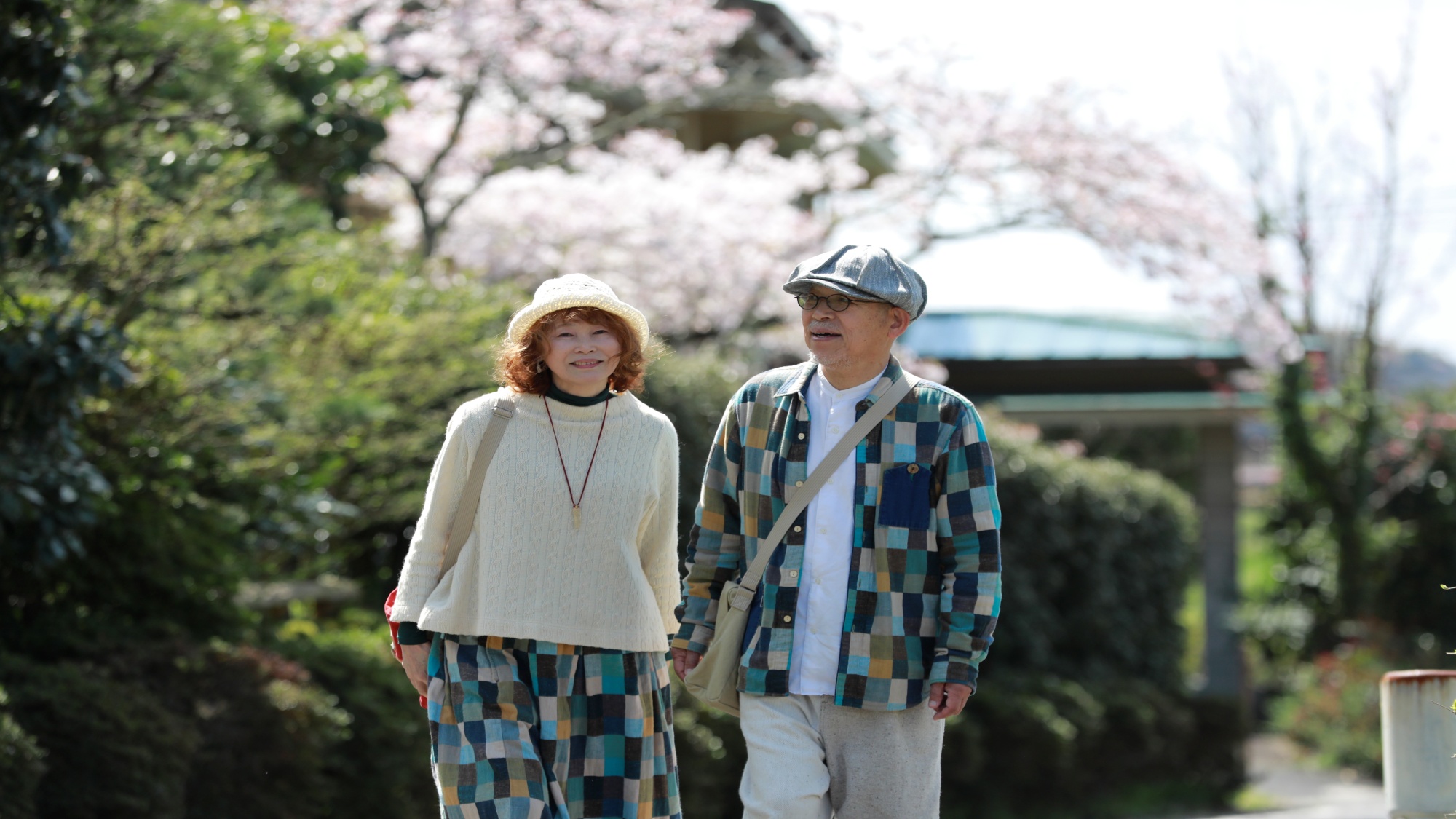 【イメージ】50歳以上限定プラン