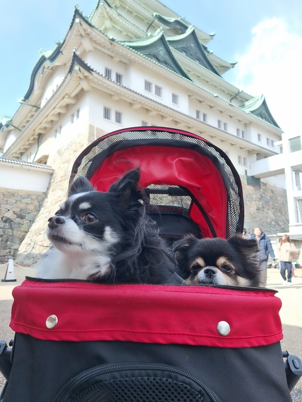 【少人数素泊プラン】ペット同伴もペット無しもゆったり空間★小型犬2匹無料・猫は有料！★《4名迄OK》