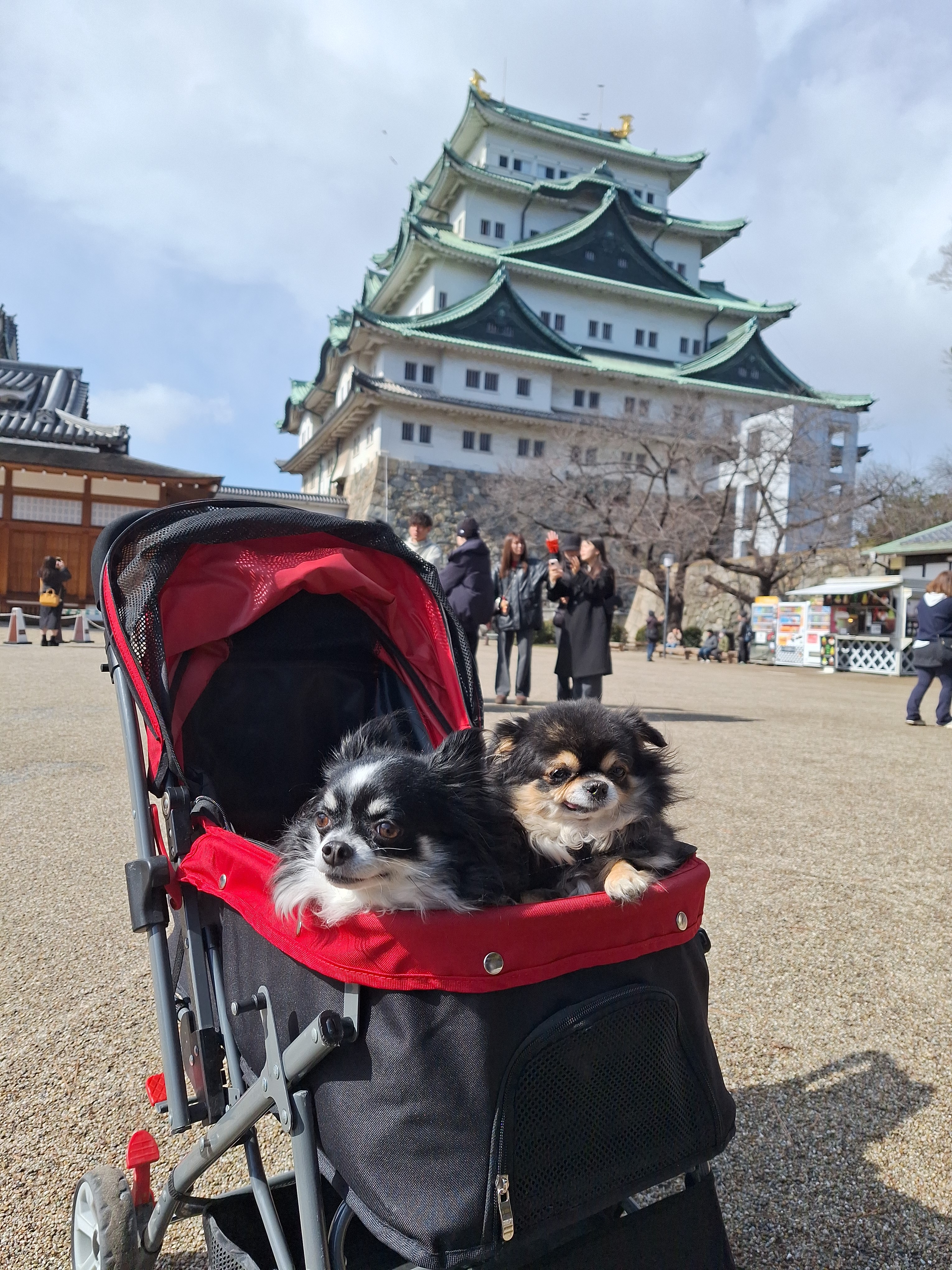 名古屋城とペット