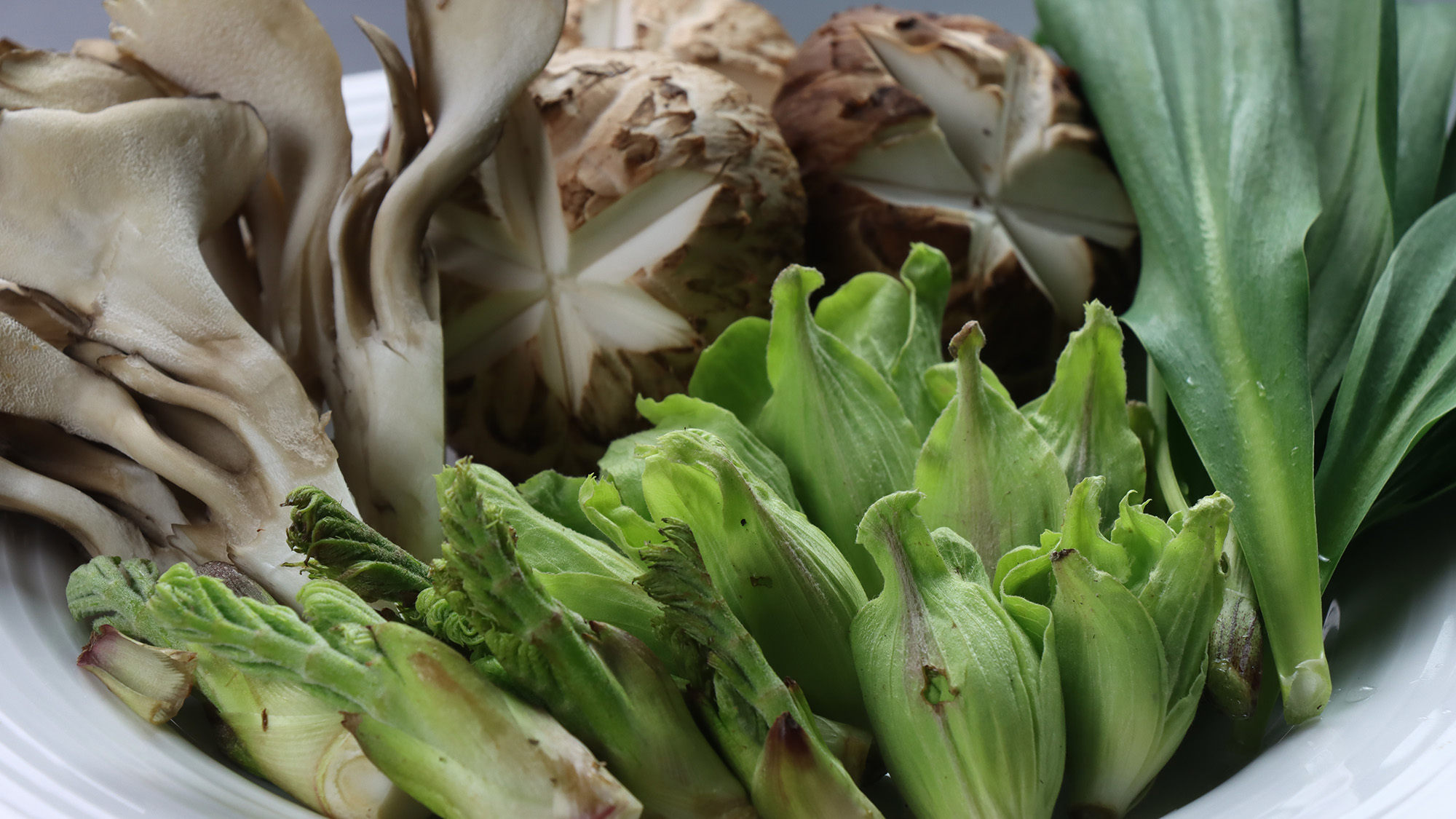 【お食事】春は山菜が豊富に取れます