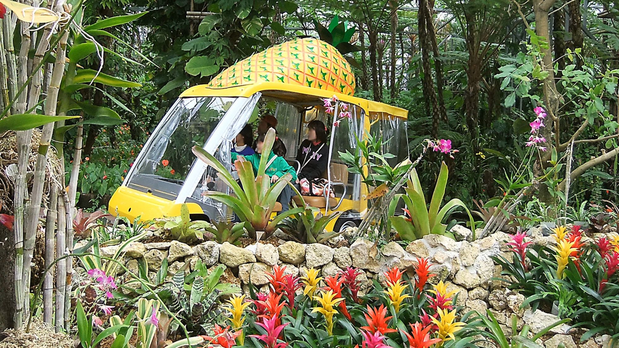 ナゴパイナップルパーク