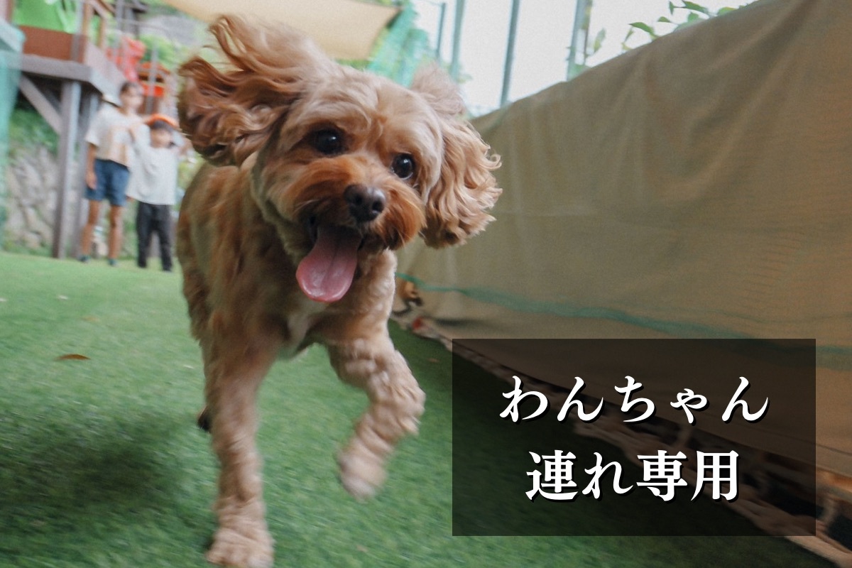 大切なご家族と　ペットご一緒プラン