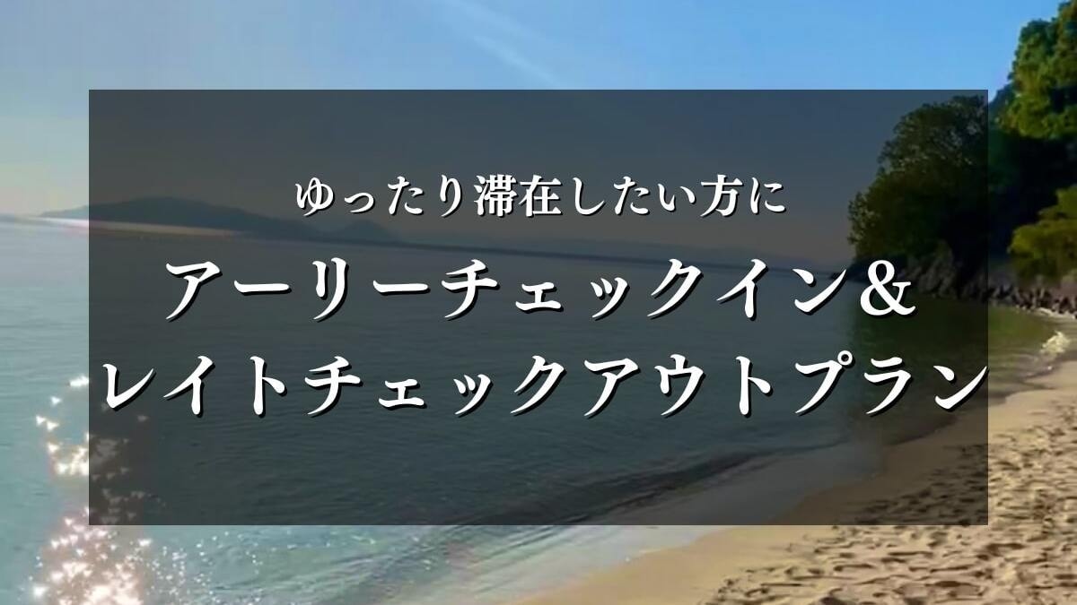 【14：00〜翌11：00】アーリーチェックイン＆レイトチェックアウトプラン【一室料金】