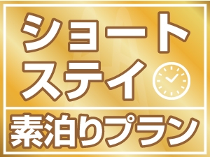 【6月限定】【ショートステイプラン】チェックイン20時以降、チェックアウト8時まで！【素泊り】