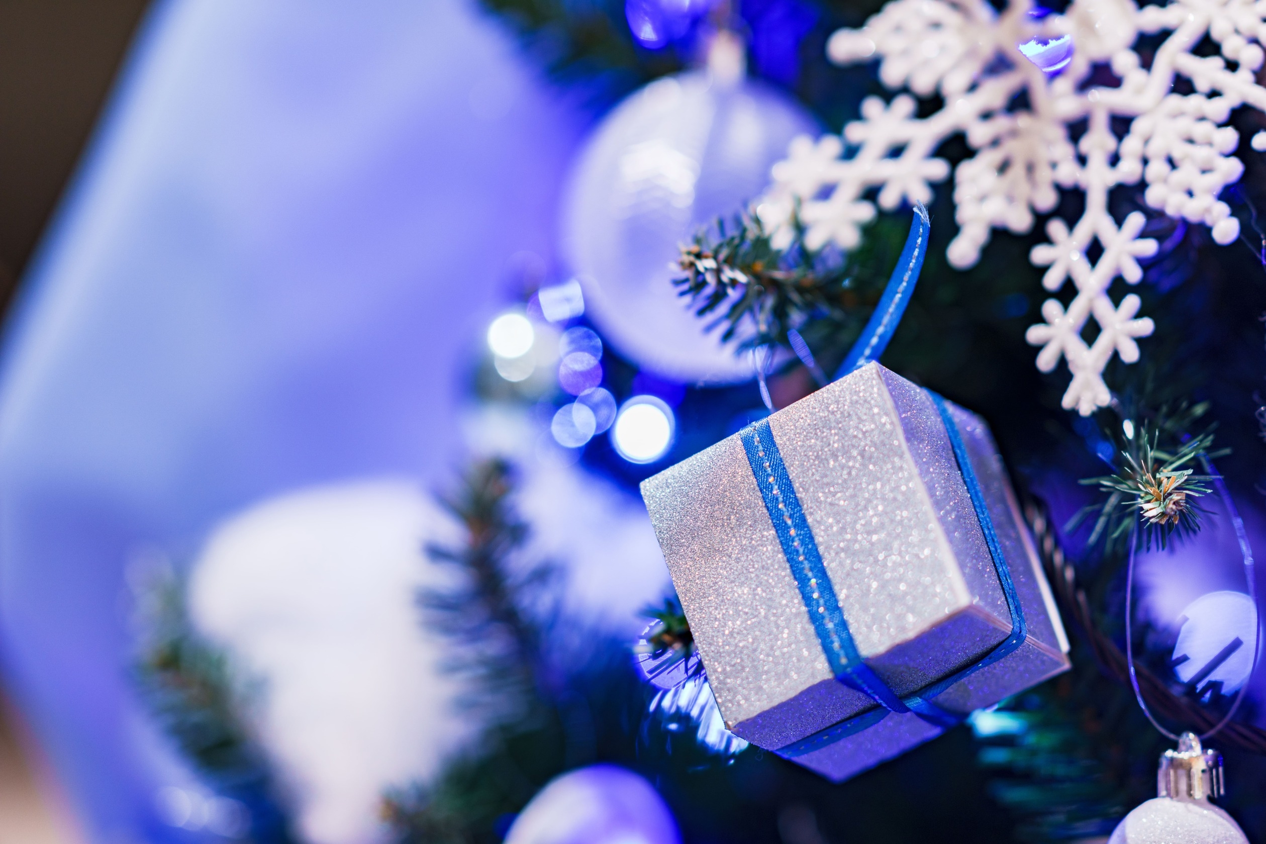 【2025 ラストイヤースペシャル】1年の締めくくりと新しいはじまりを沼津で！＜素泊まり＞