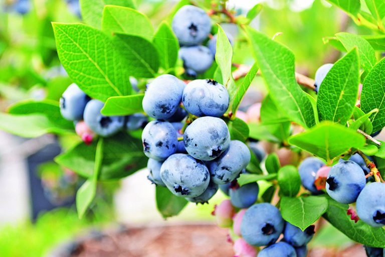 【静岡県民限定】ちょっとお得な沼津旅★ドリンク付〈素泊まり〉