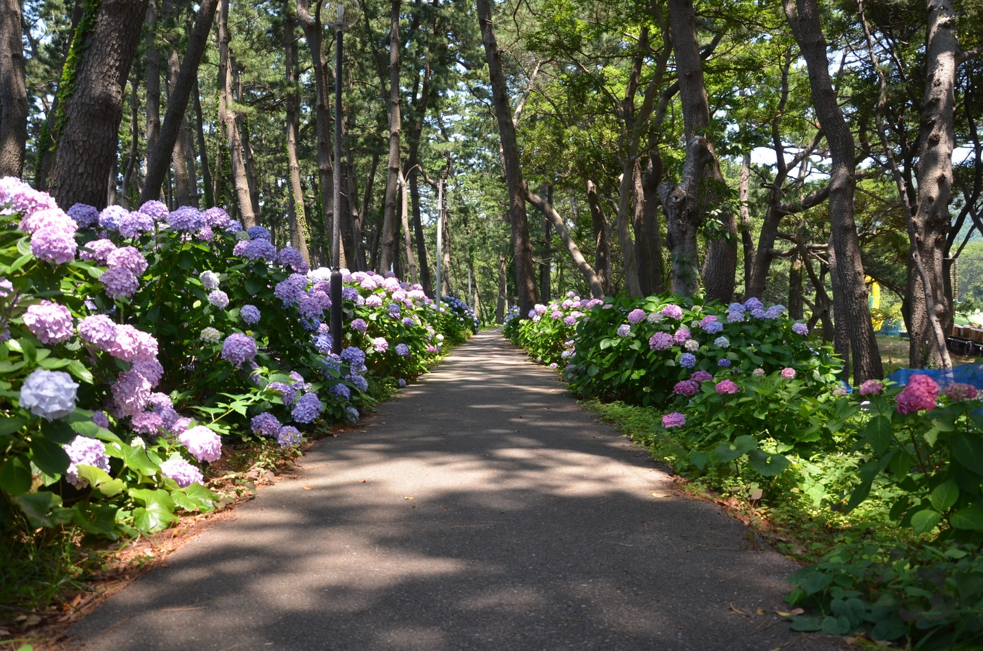 【2026 アーリーサマースペシャル】ひと足先に、夏を感じる沼津ステイ＜素泊まり＞