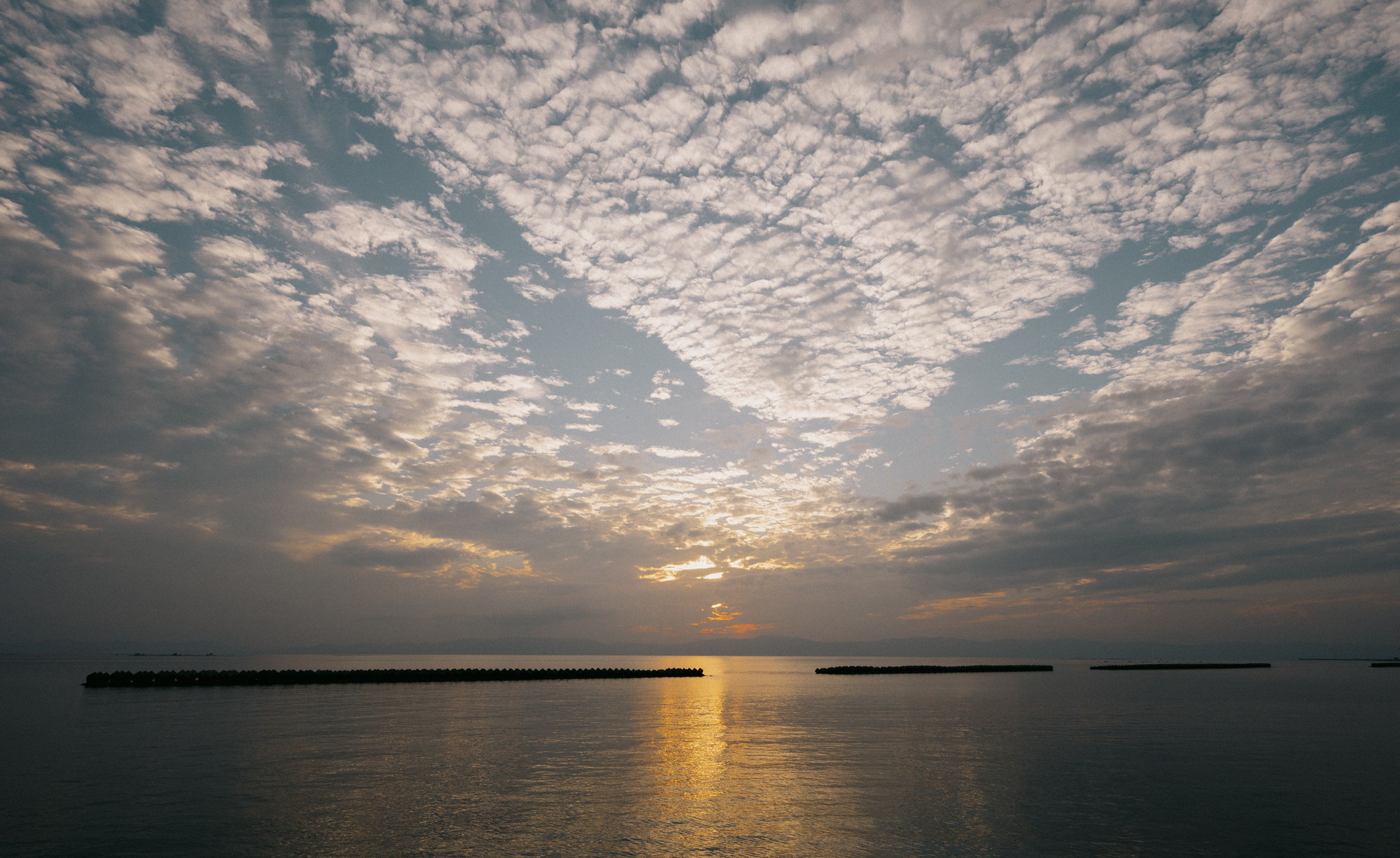 景観／1kmに渡り続くシーサイドストリート