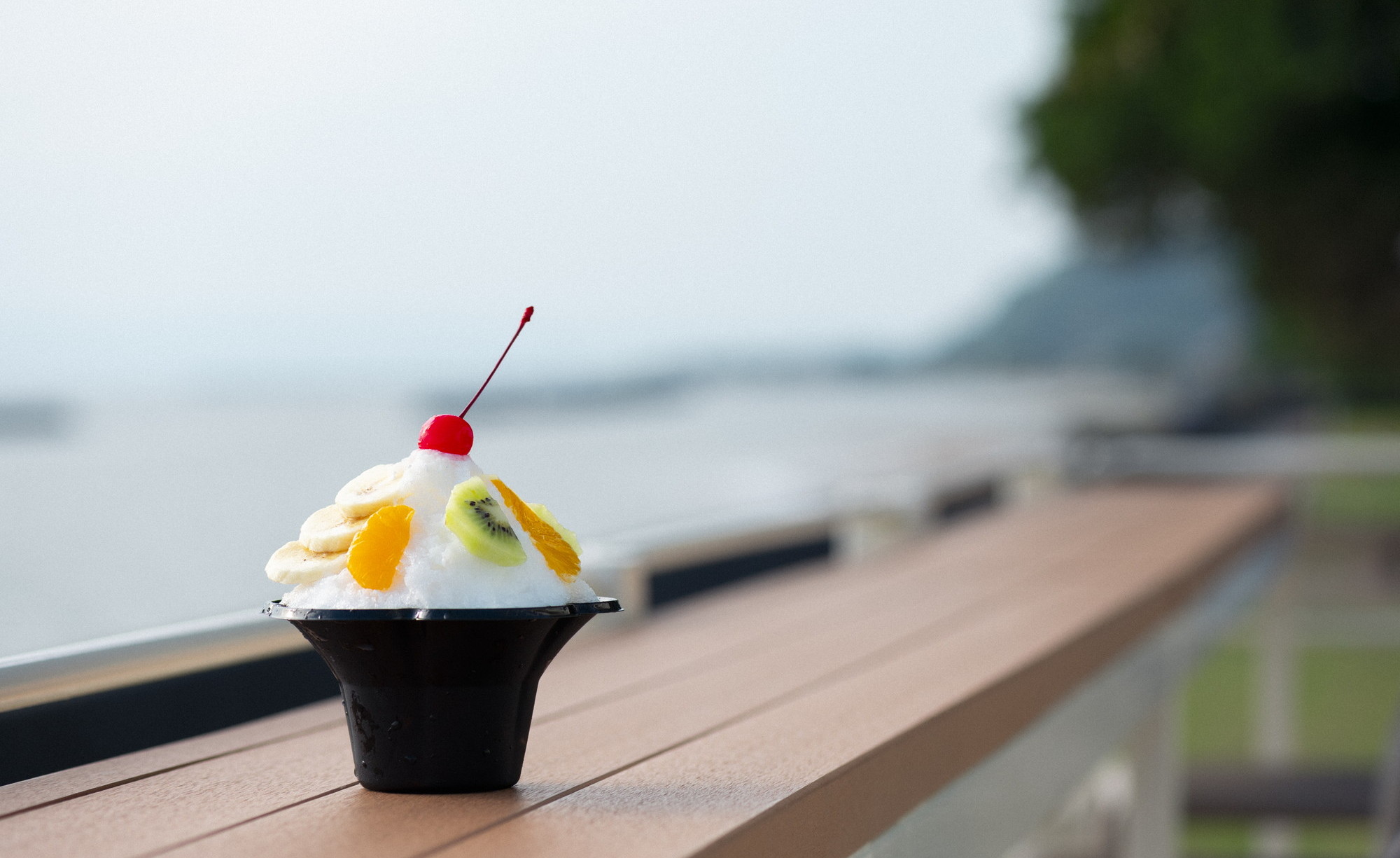 食事／カフェメニュー一例