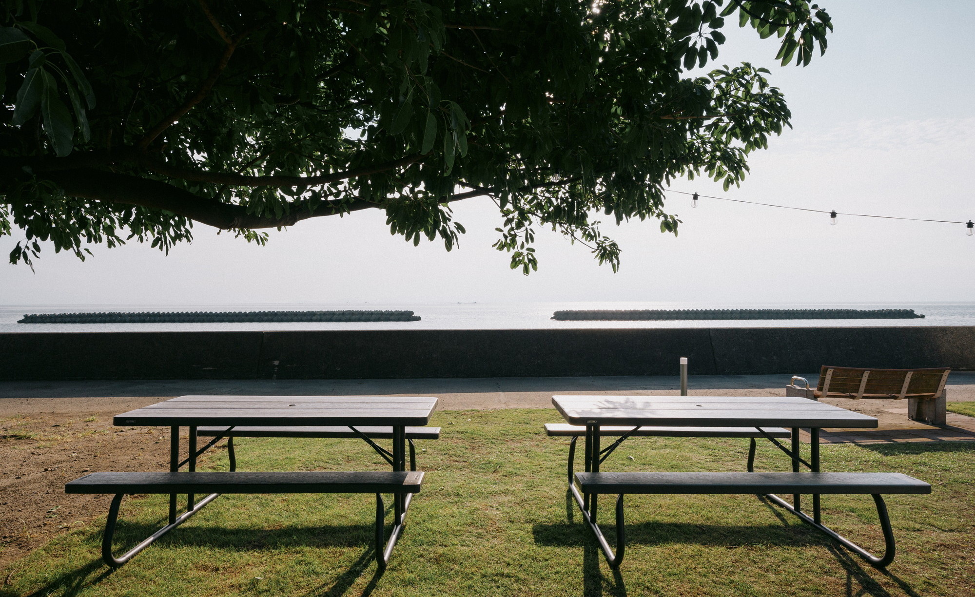 景観／1kmに渡り続くシーサイドストリート