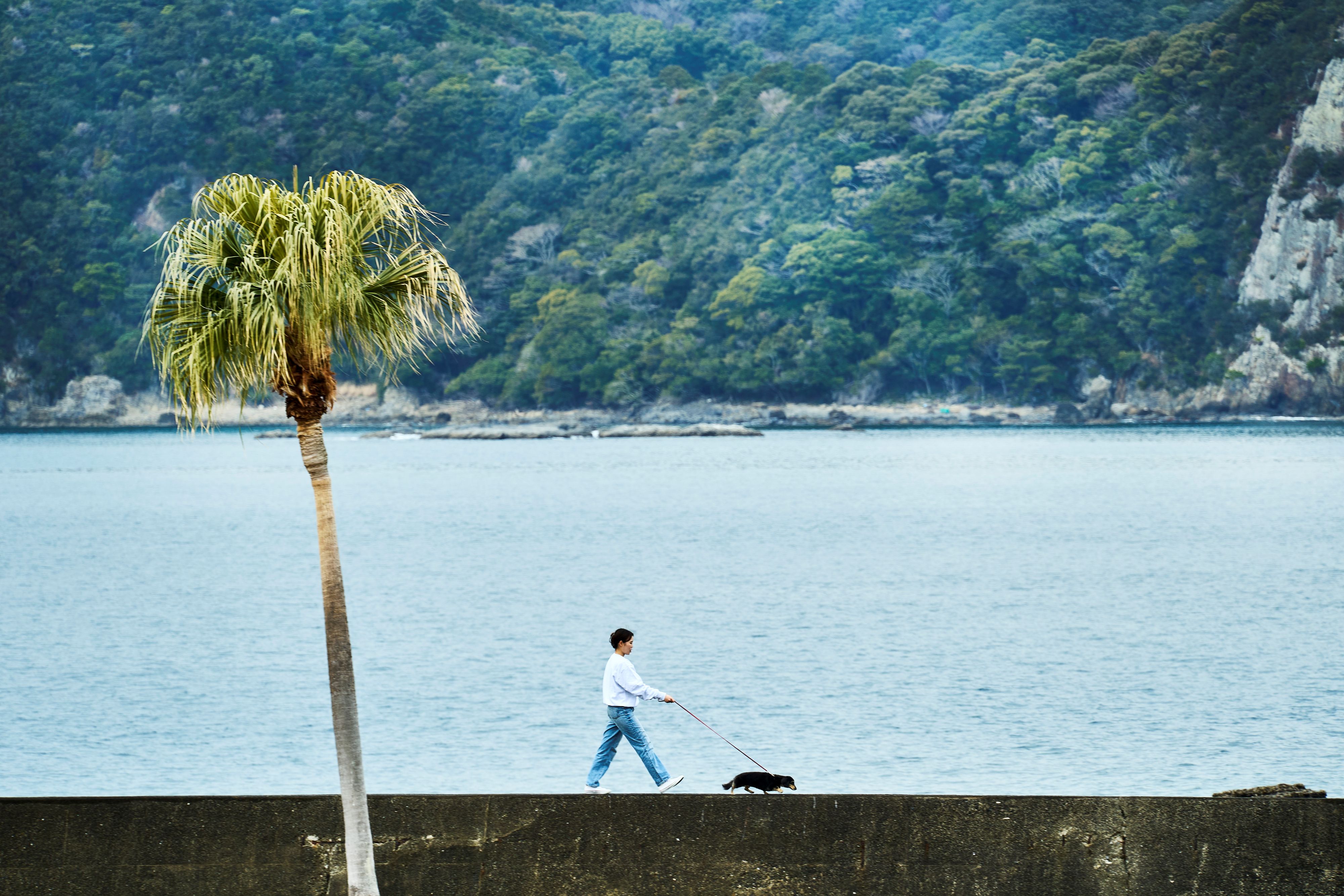 くじら浜公園をお散歩