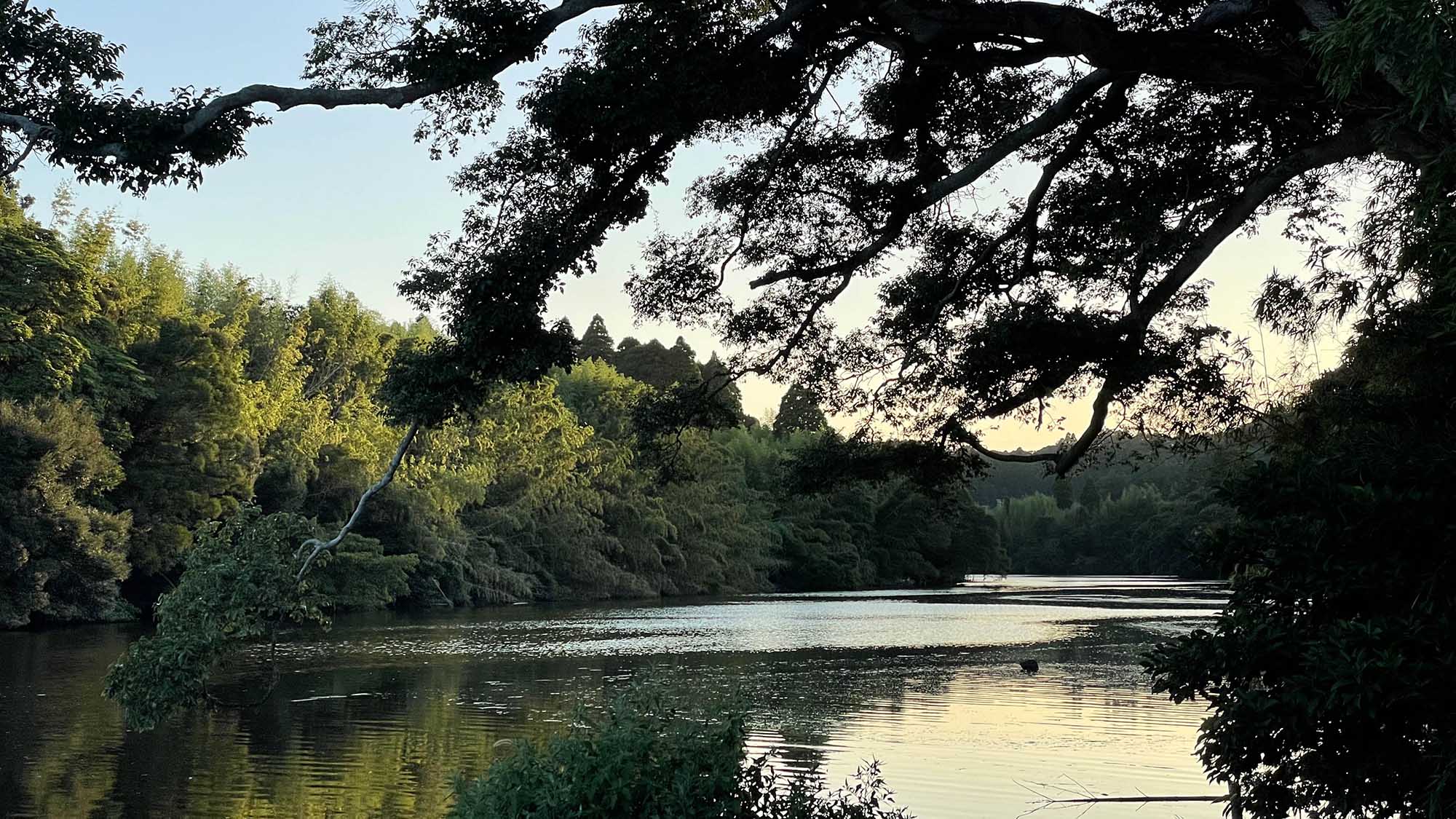 ・【眺望】目の前を流れる夷隅川。季節によって様々な景色を創り出します