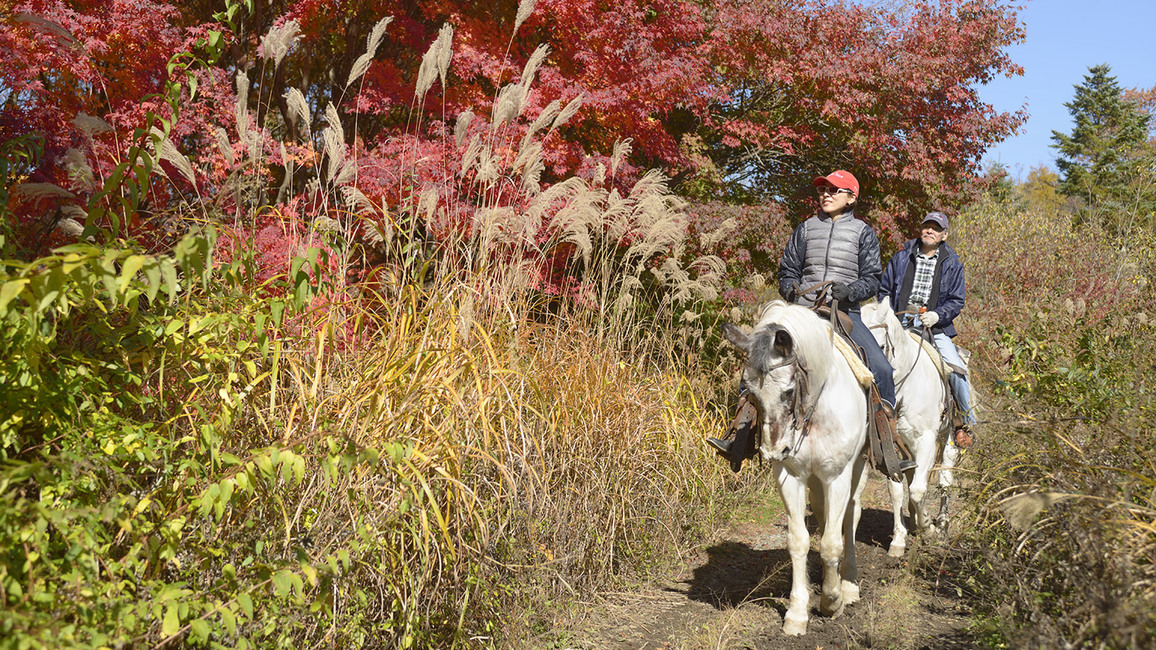 乗馬で森林散歩★富士山を見ながら優雅な時間【15時-18時チェックイン】