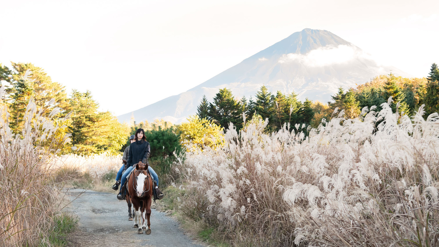 乗馬で森林散歩★富士山を見ながら優雅な時間【15時-18時チェックイン】