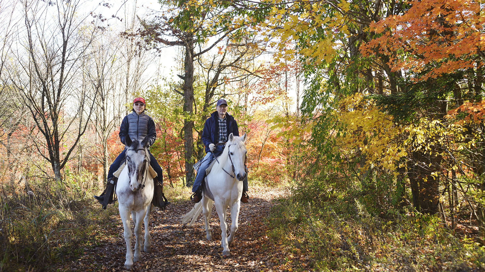 富士山麓の森林外乗