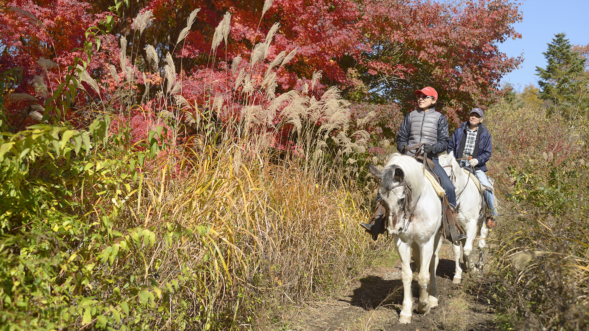 富士山麓の森林外乗