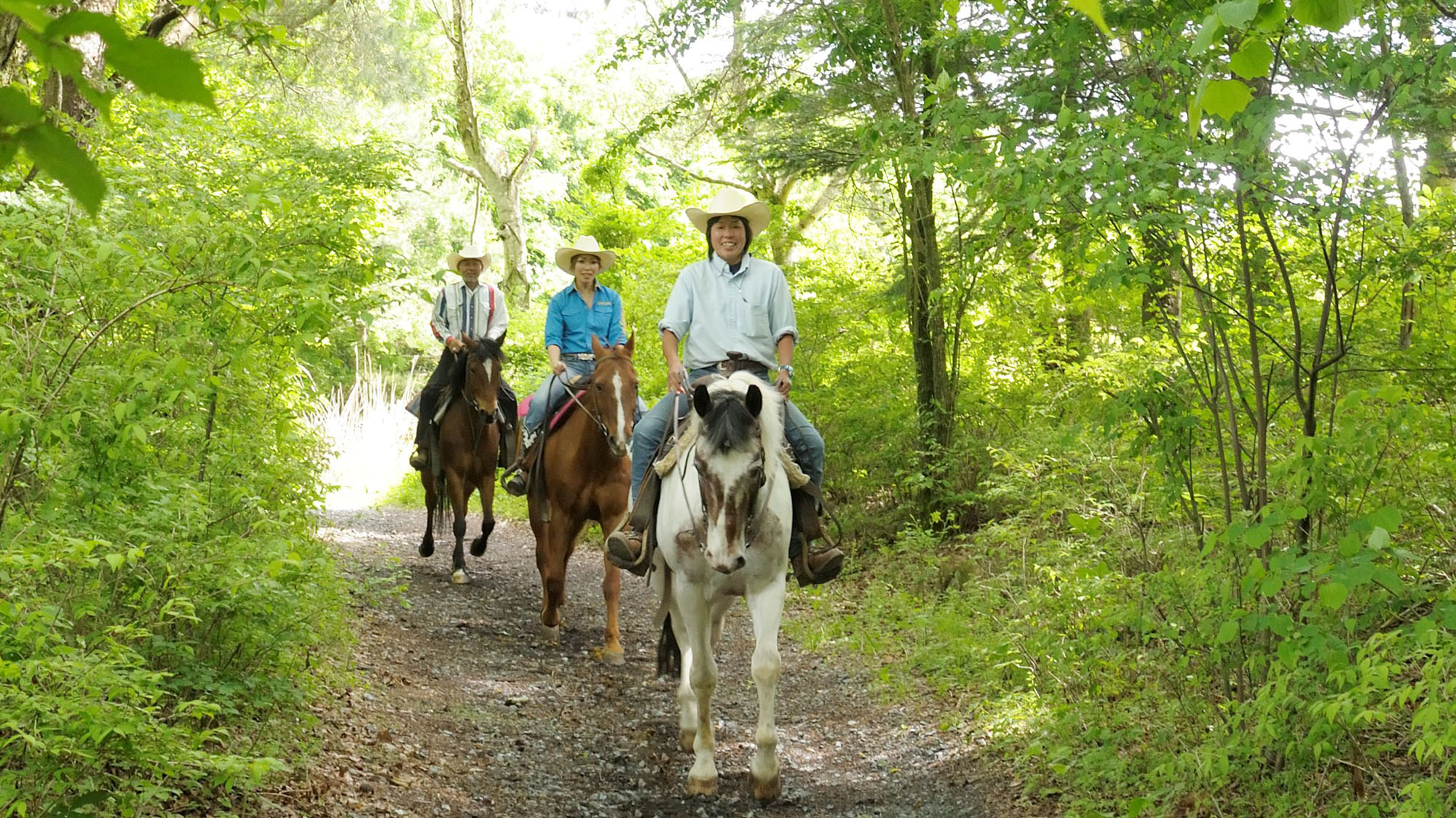 富士山麓の森林外乗