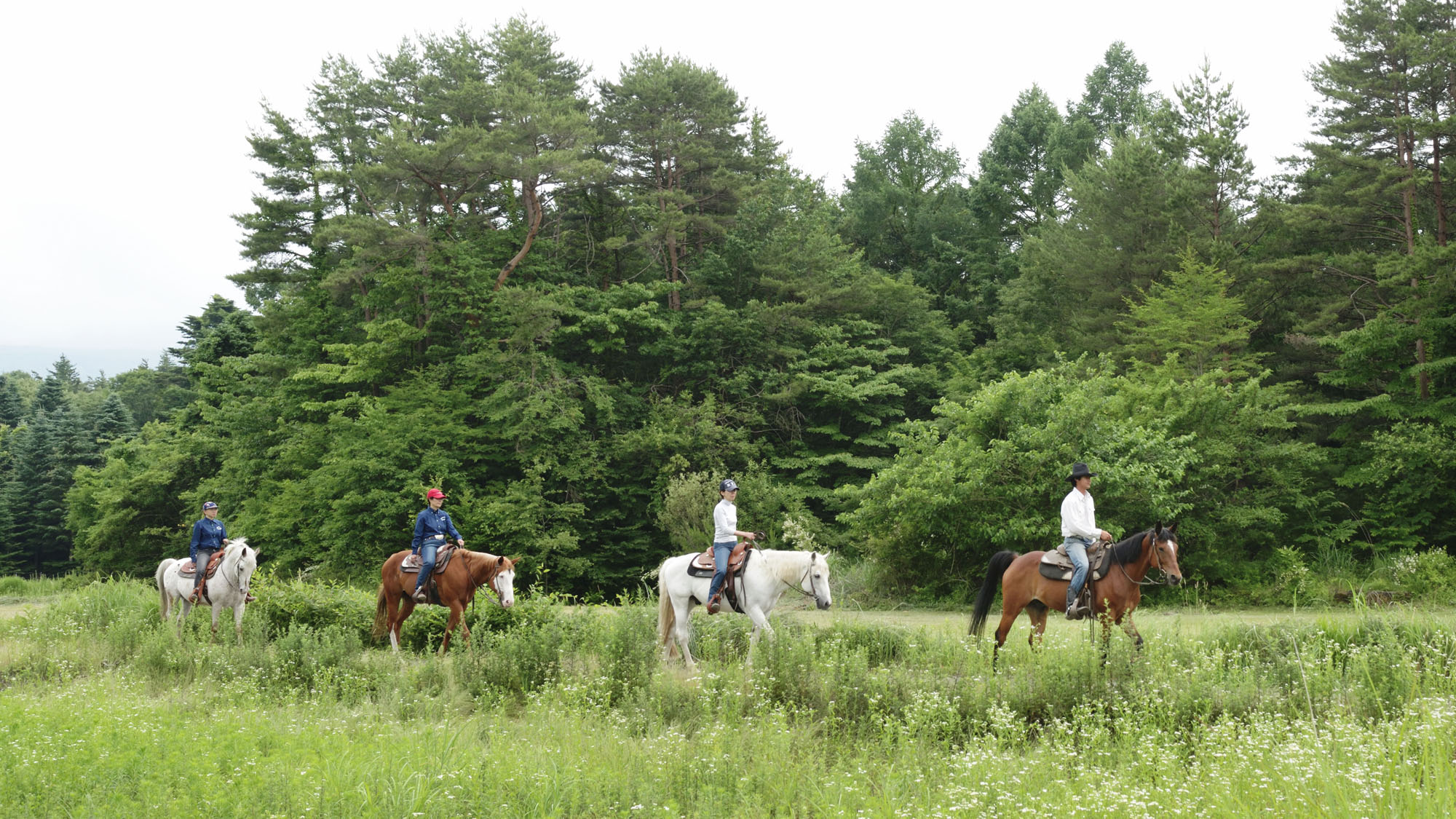 富士山麓の森林外乗