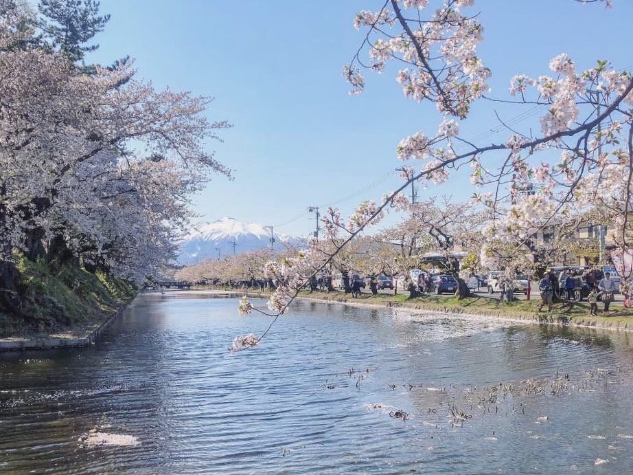 さくらまつり期間（４月１0日〜５月５日）限定プラン